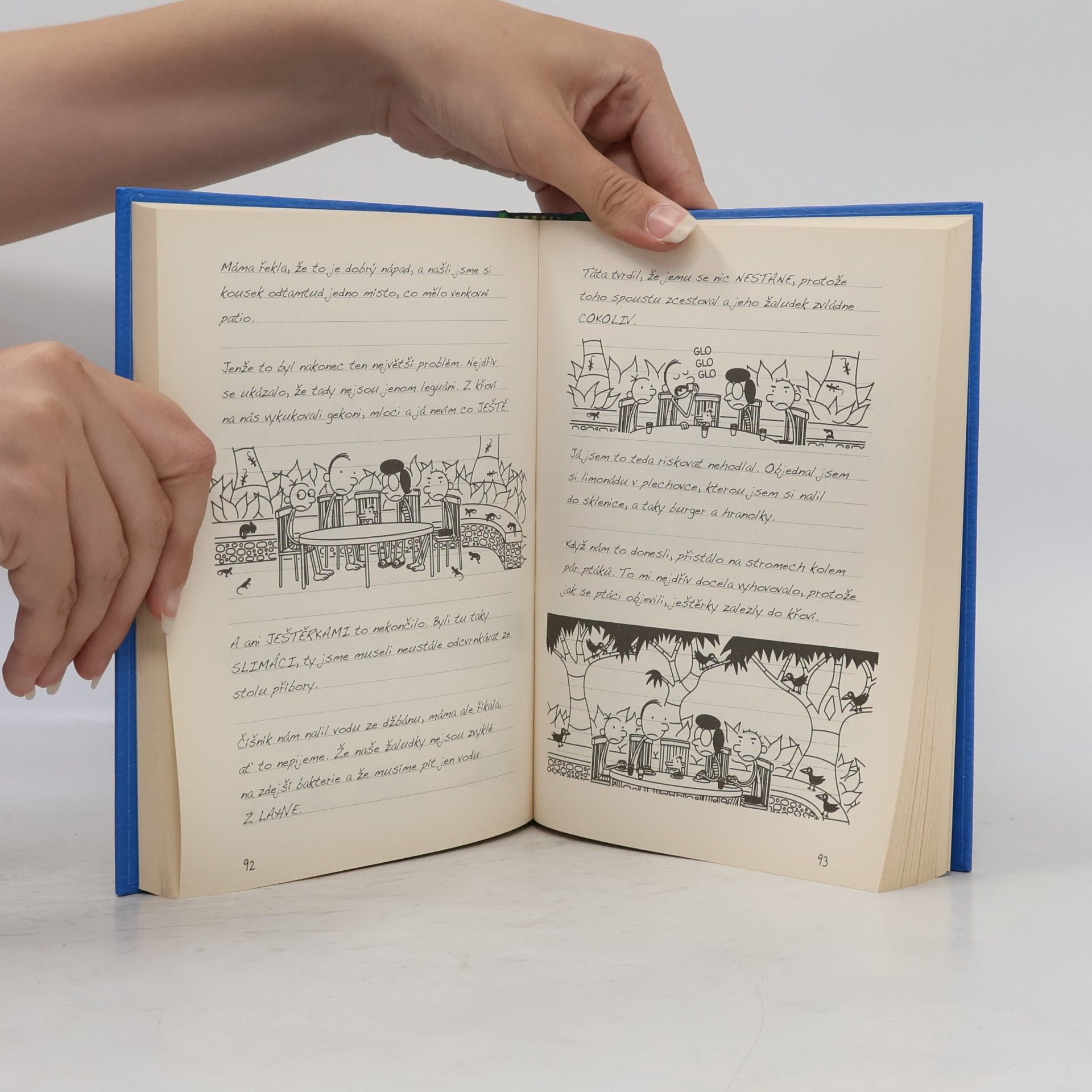 Jeff Kinney Deník malého poseroutky 12. Výprava za teplem