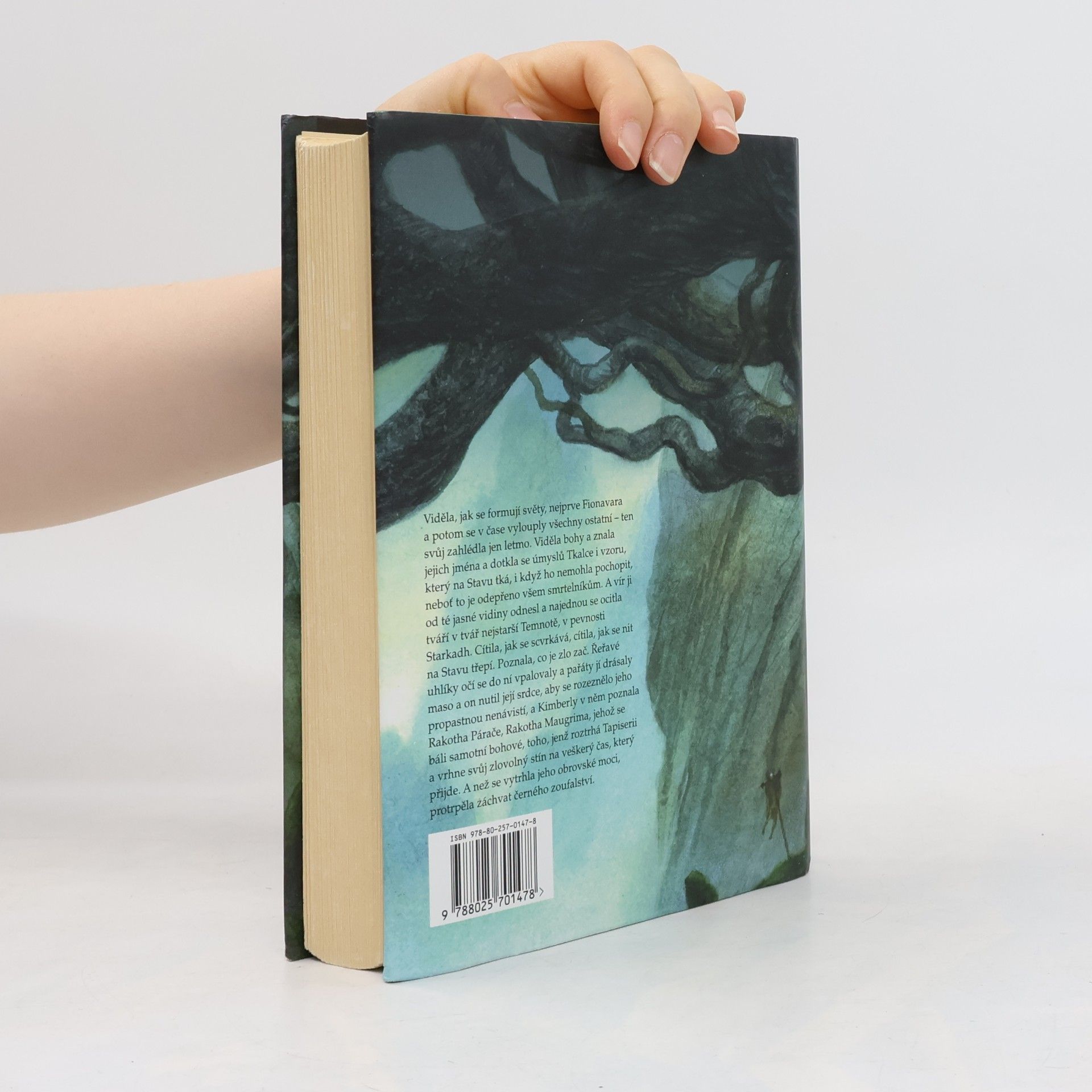 Guy Gavriel Kay Fionavarská tapiserie. Kniha první, Letní strom