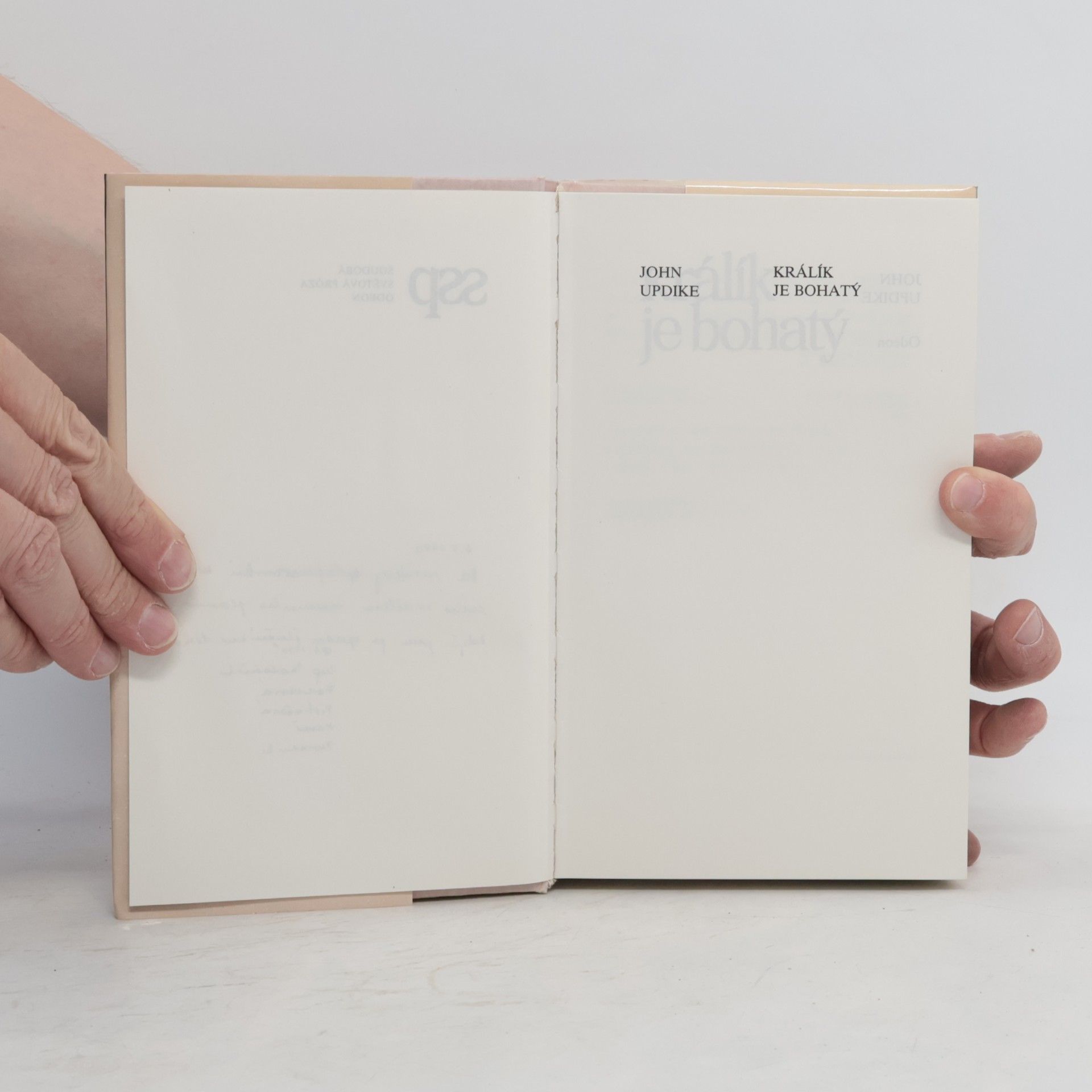 John Updike Králík je bohatý