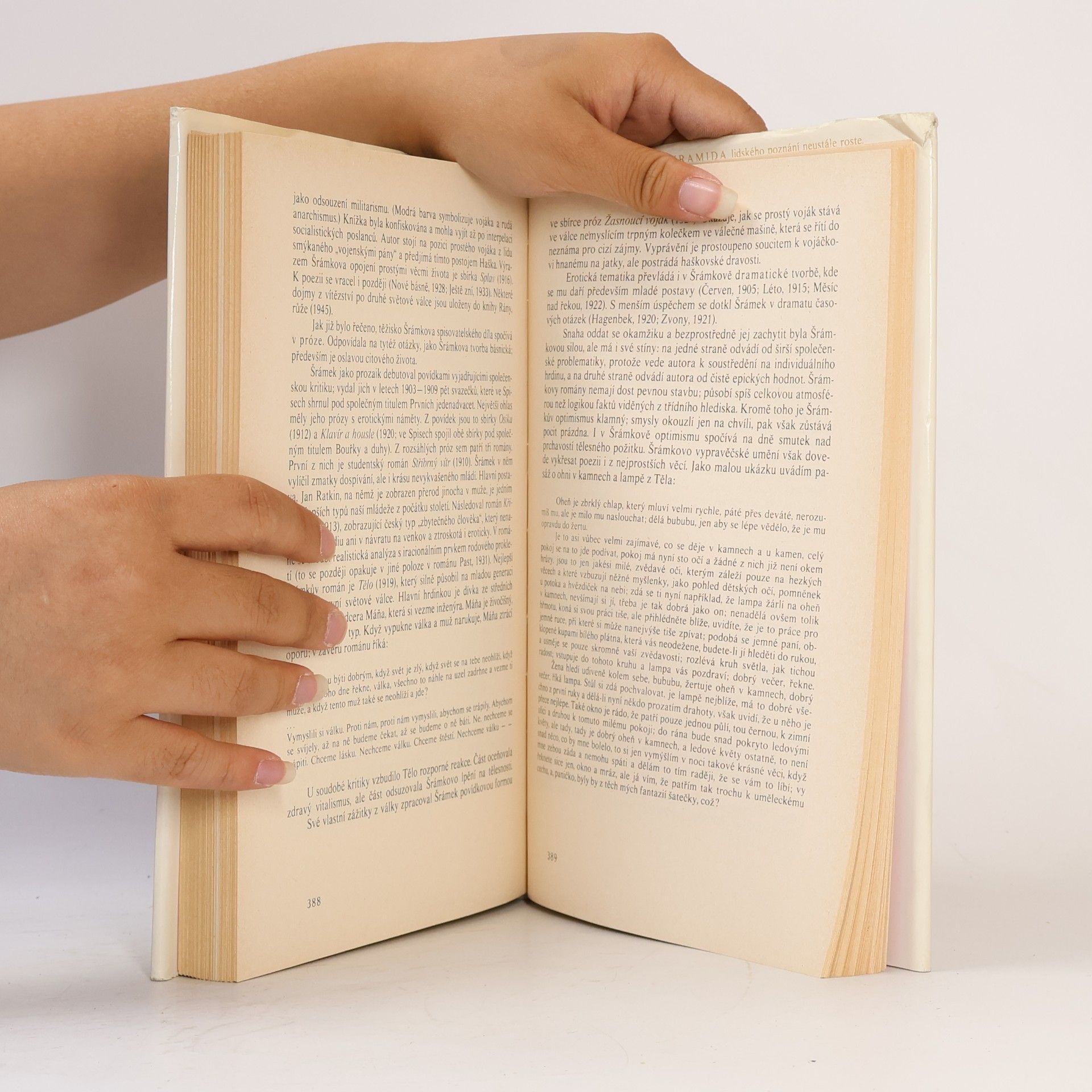 Josef Hrabák Průvodce po dějinách české literatury