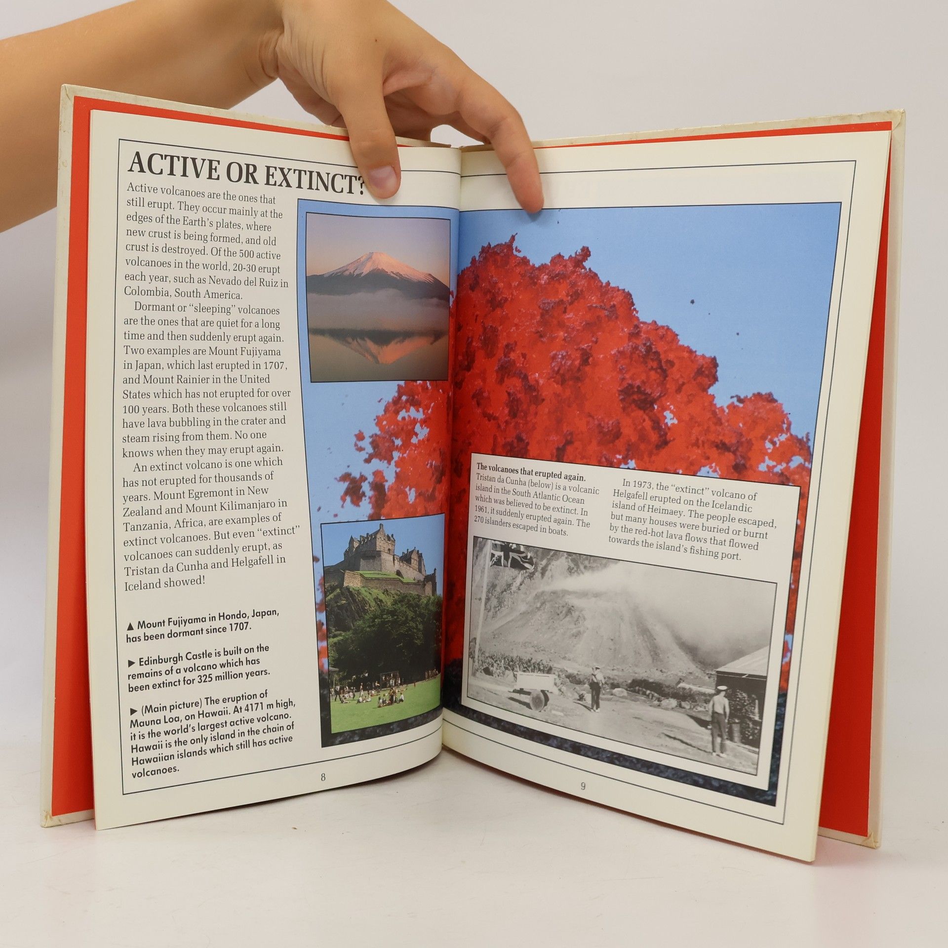 Jacqueline Dineen Volcanoes