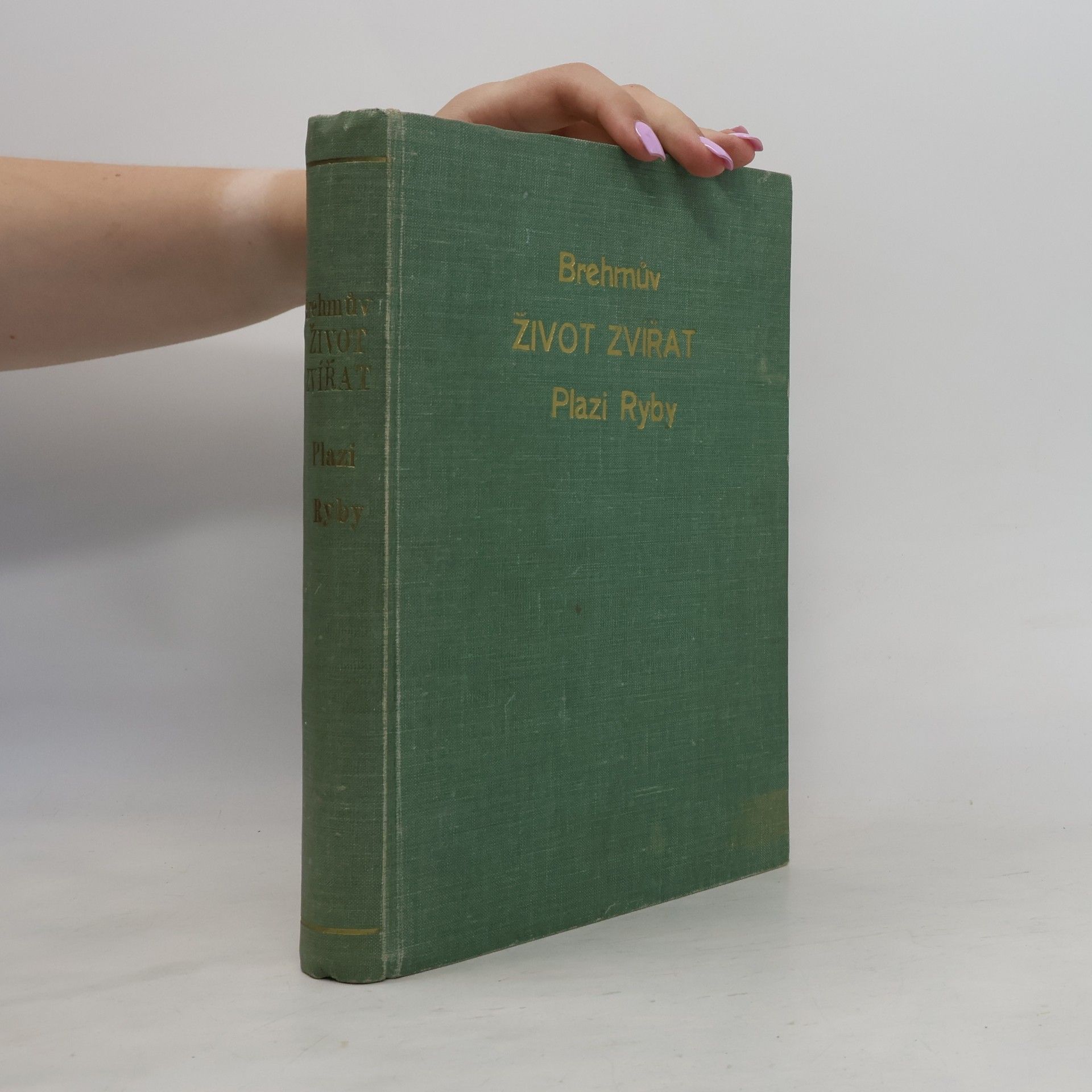 Alfred Edmund Brehm Brehmův ilustrovaný život zvířat VI. Plazi, obojživelníci, ryby