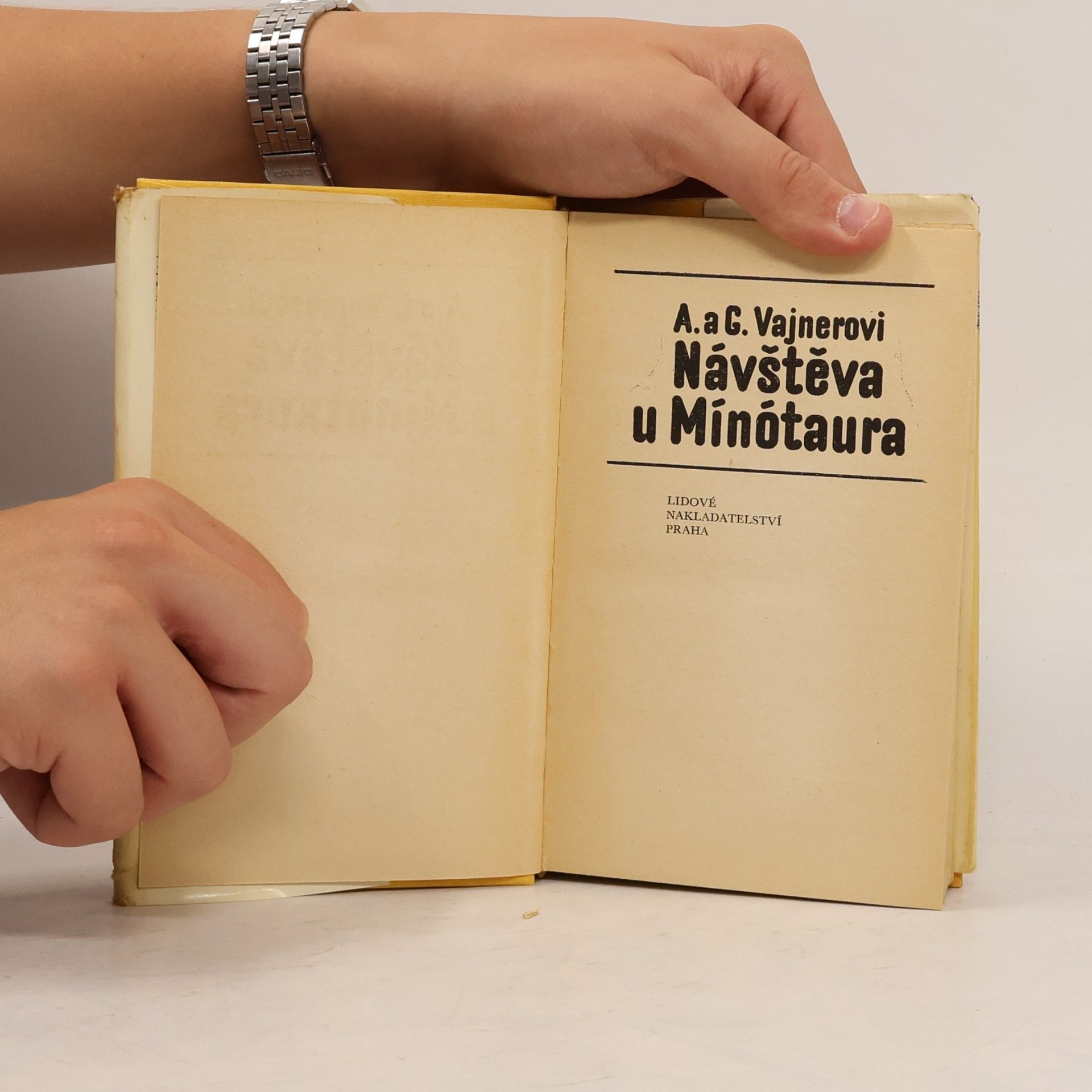 Arkadij Aleksandrovič Vajner Návštěva u mínótaura