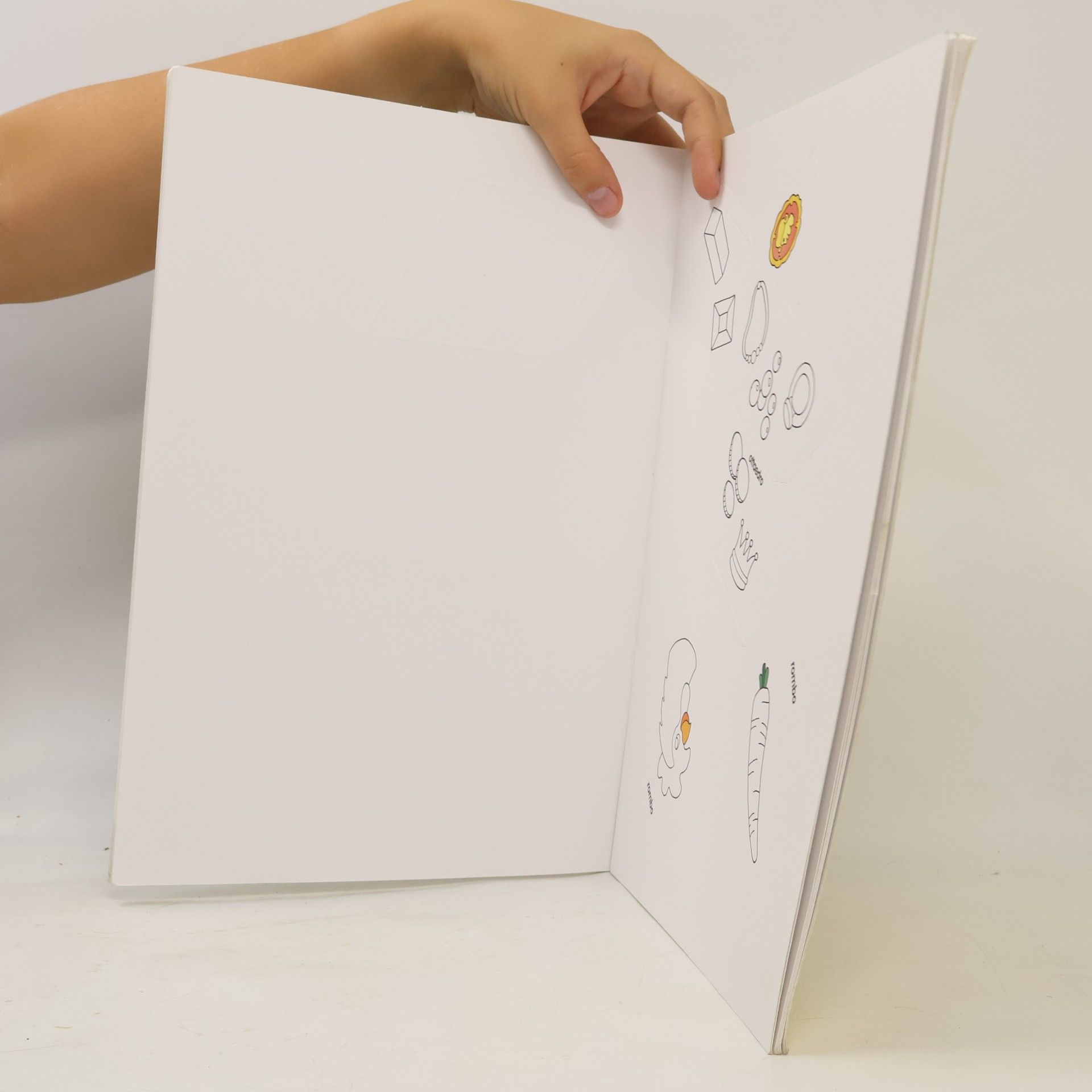 Ciccio Riccio. Children's books: Geometria in forma