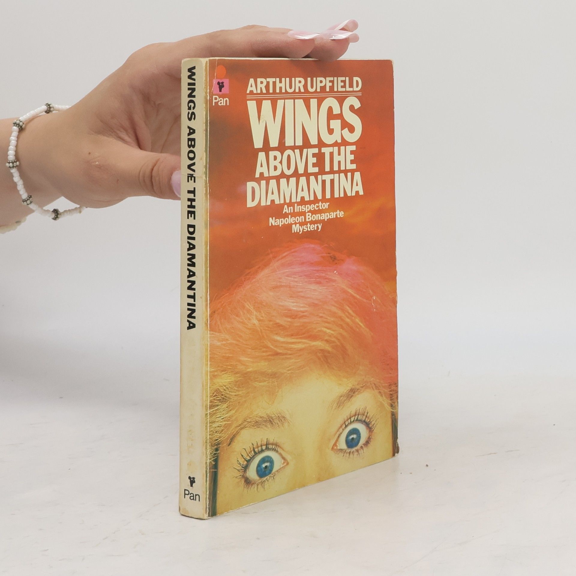 Wings Above the Diamantina