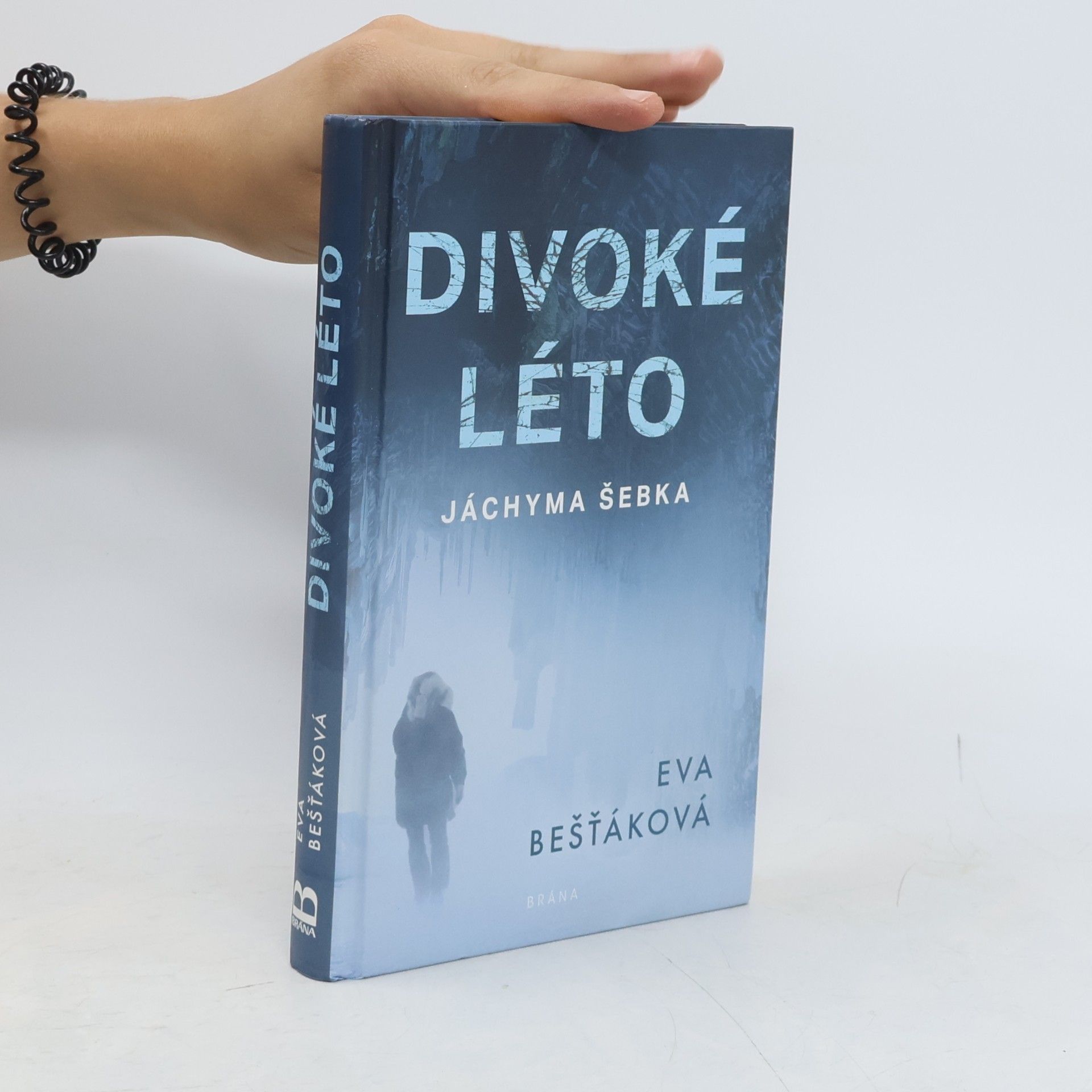 Eva Bešťáková Divoké léto Jáchyma Šebka