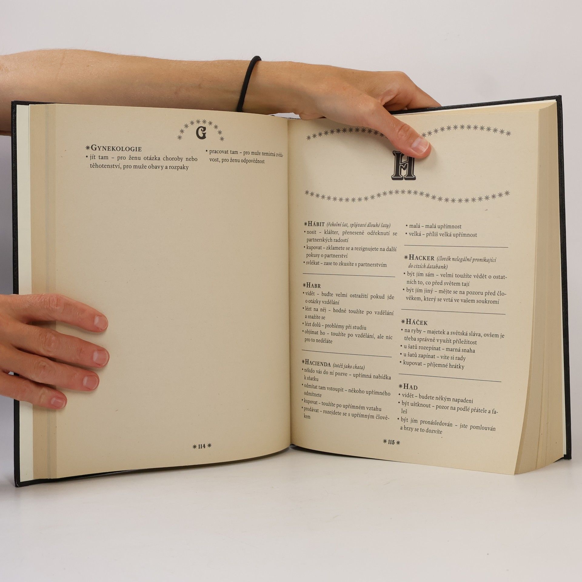 Collectif d'auteurs Velký snář. Více než 10 000 hesel