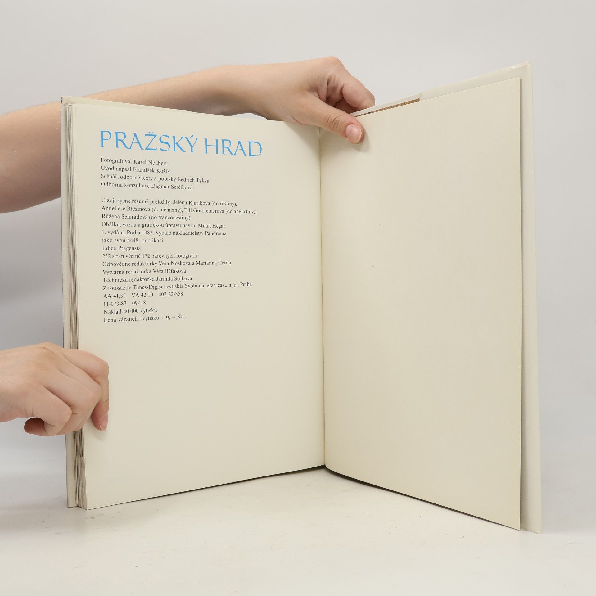 Karel Neubert Pražský hrad