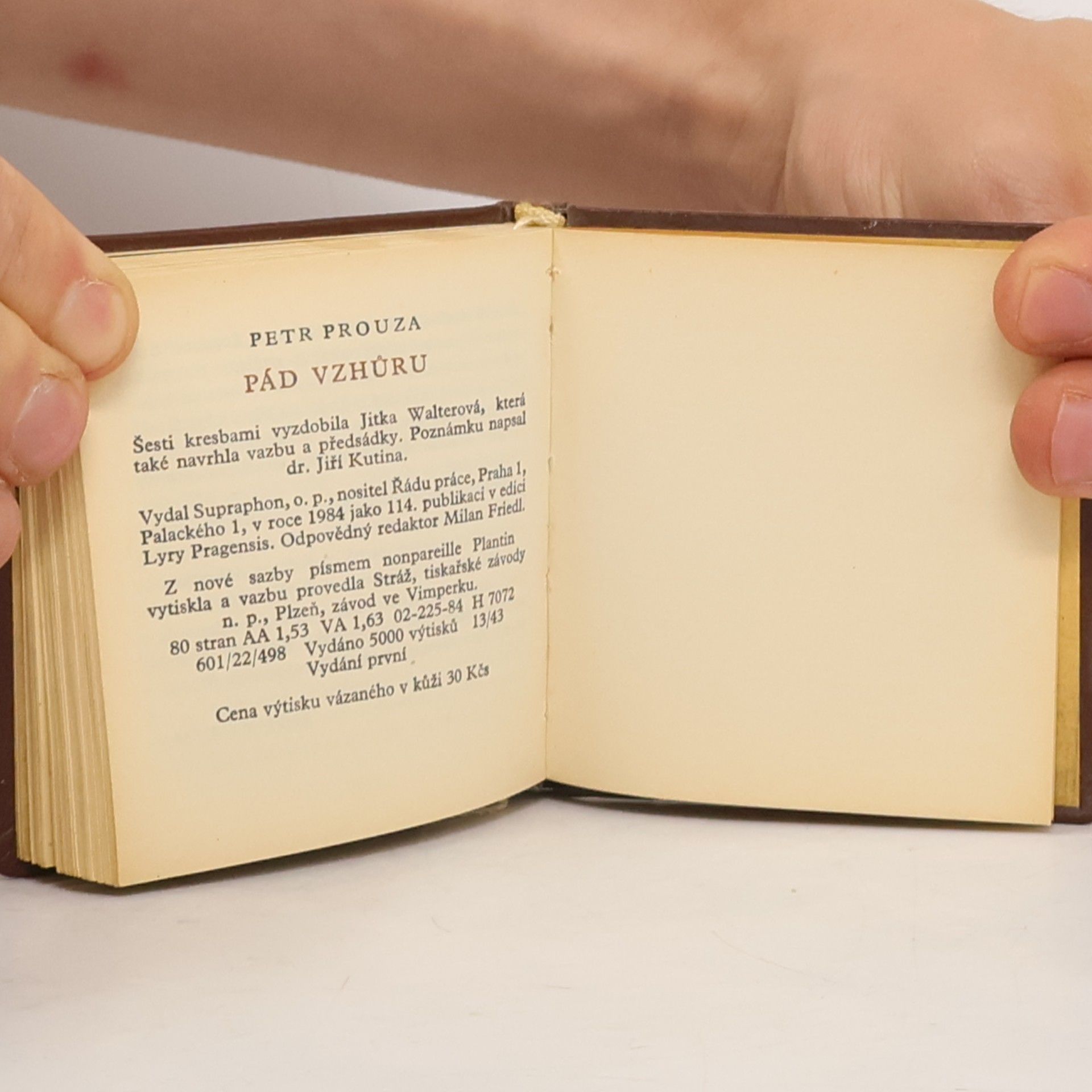 Petr Prouza Pád vzhůru