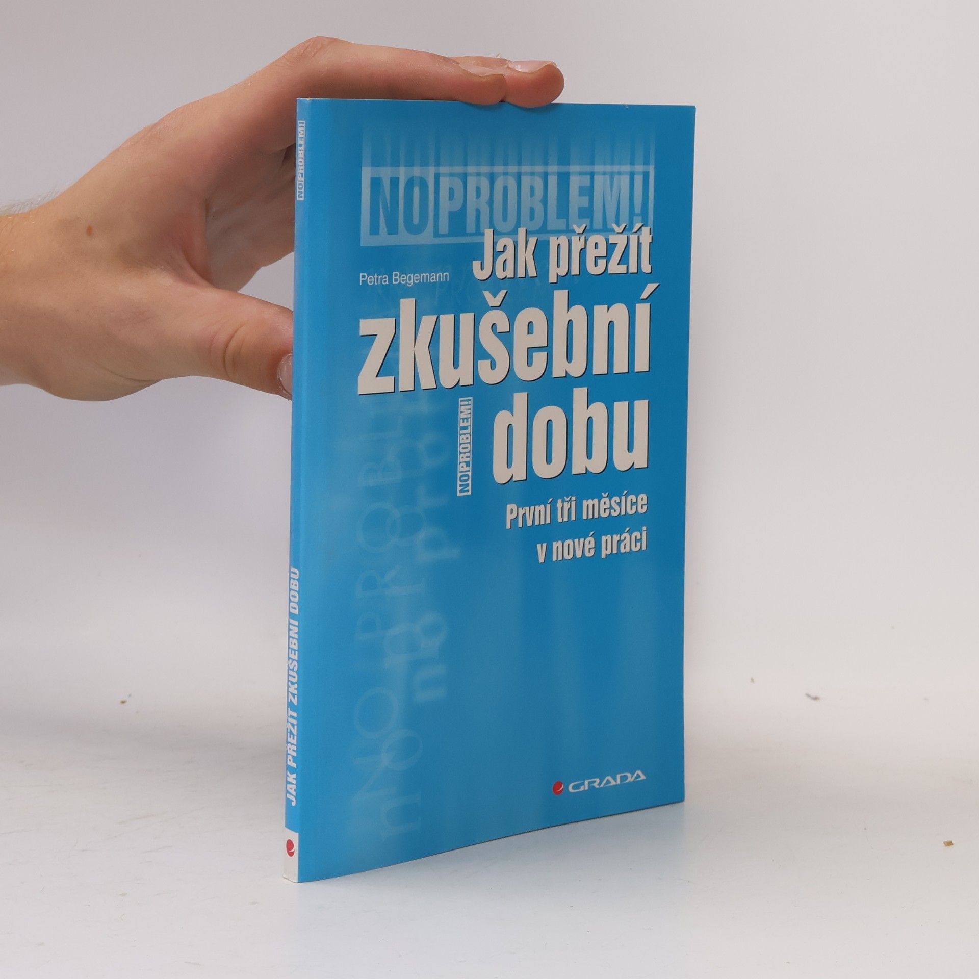 Petra Begemann Jak přežít zkušební dobu