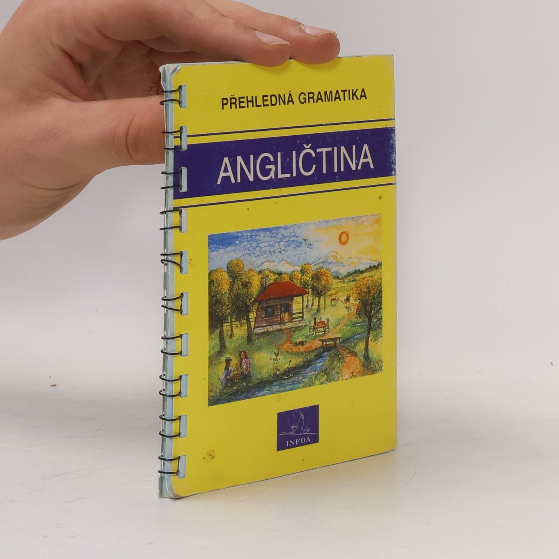 Gary Grabbe Angličtina. Přehledná gramatika