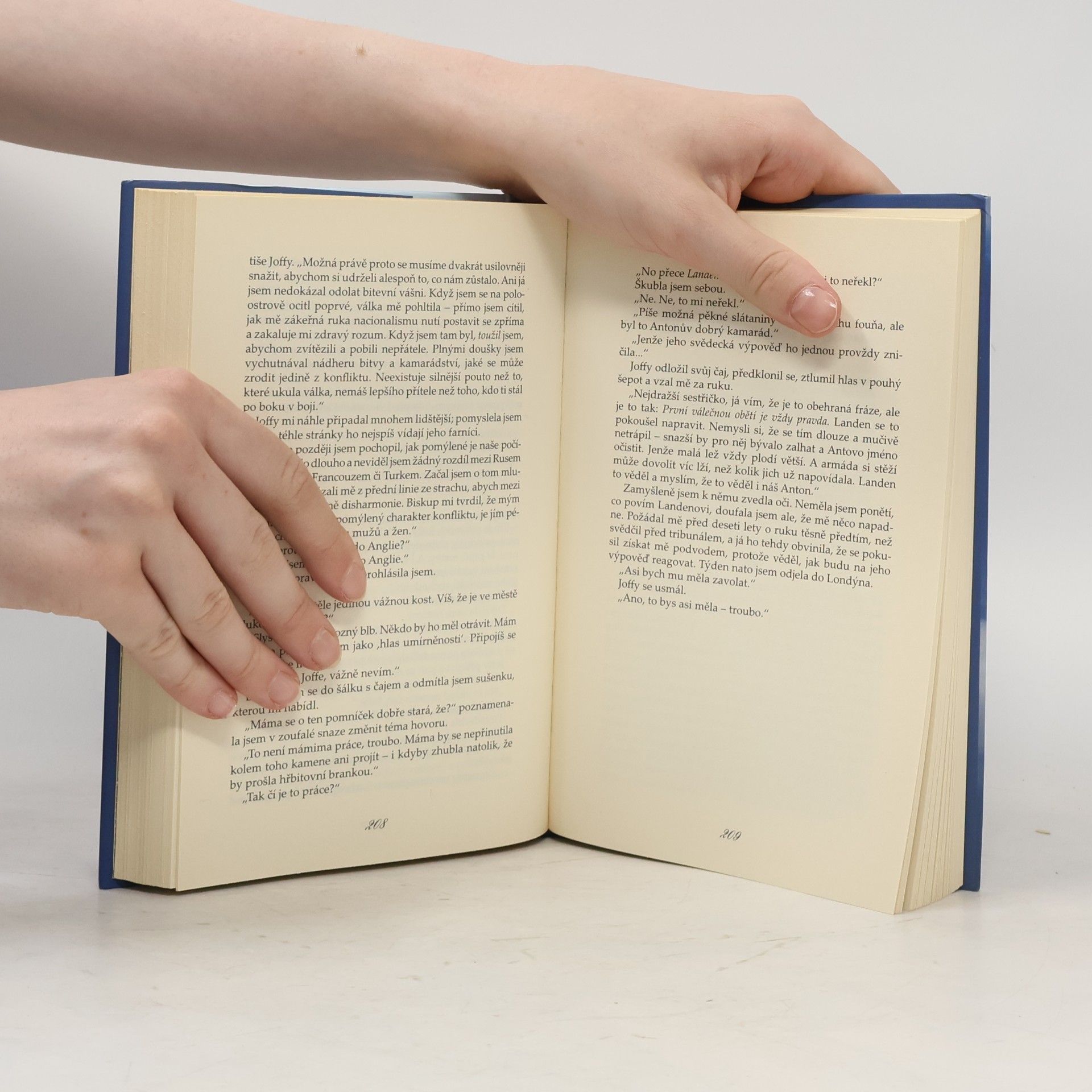 Jasper Fforde Malér Eyrová
