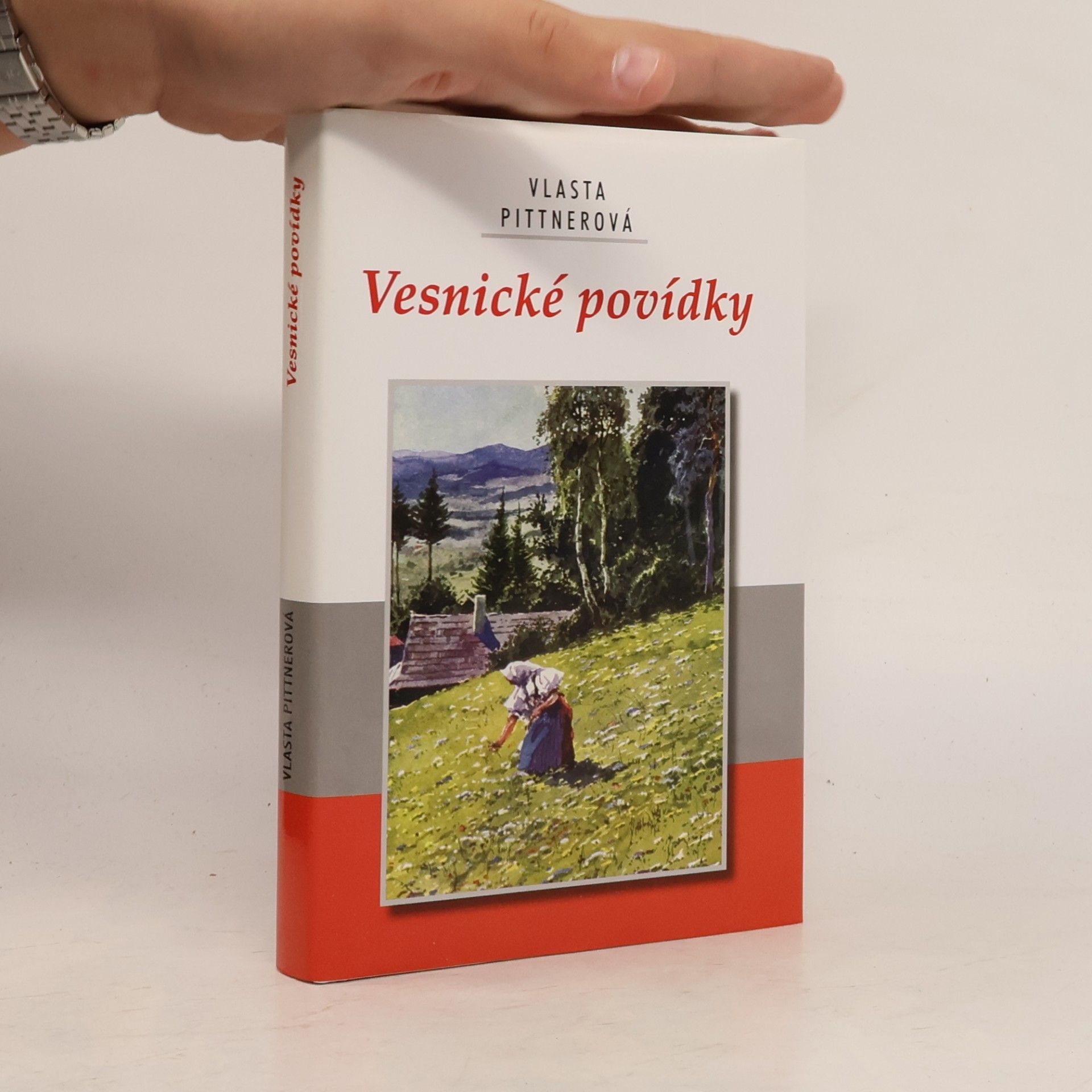 Vesnické povídky