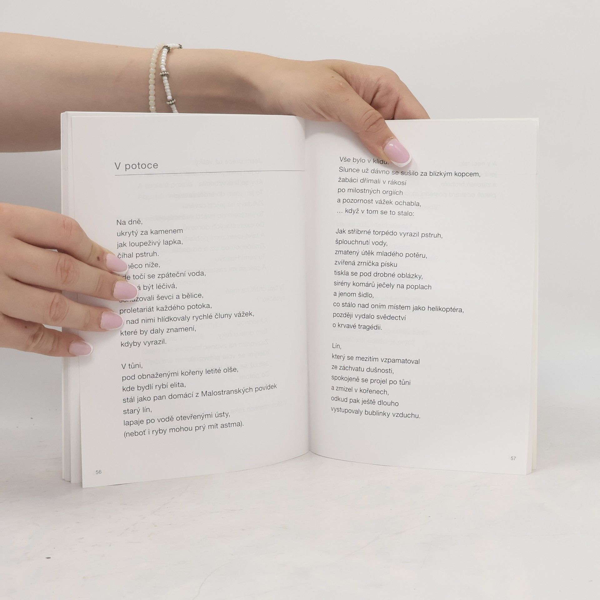 Michal Beneš Výběr z poezie