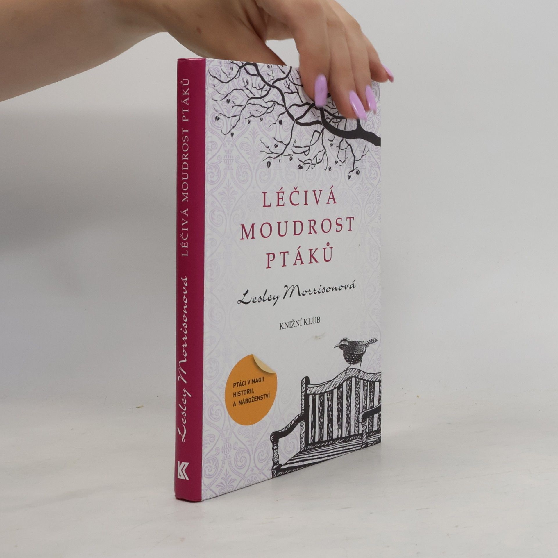 Lesley Morrison Léčivá moudrost ptáků : ptáci v magii, historii a náboženství