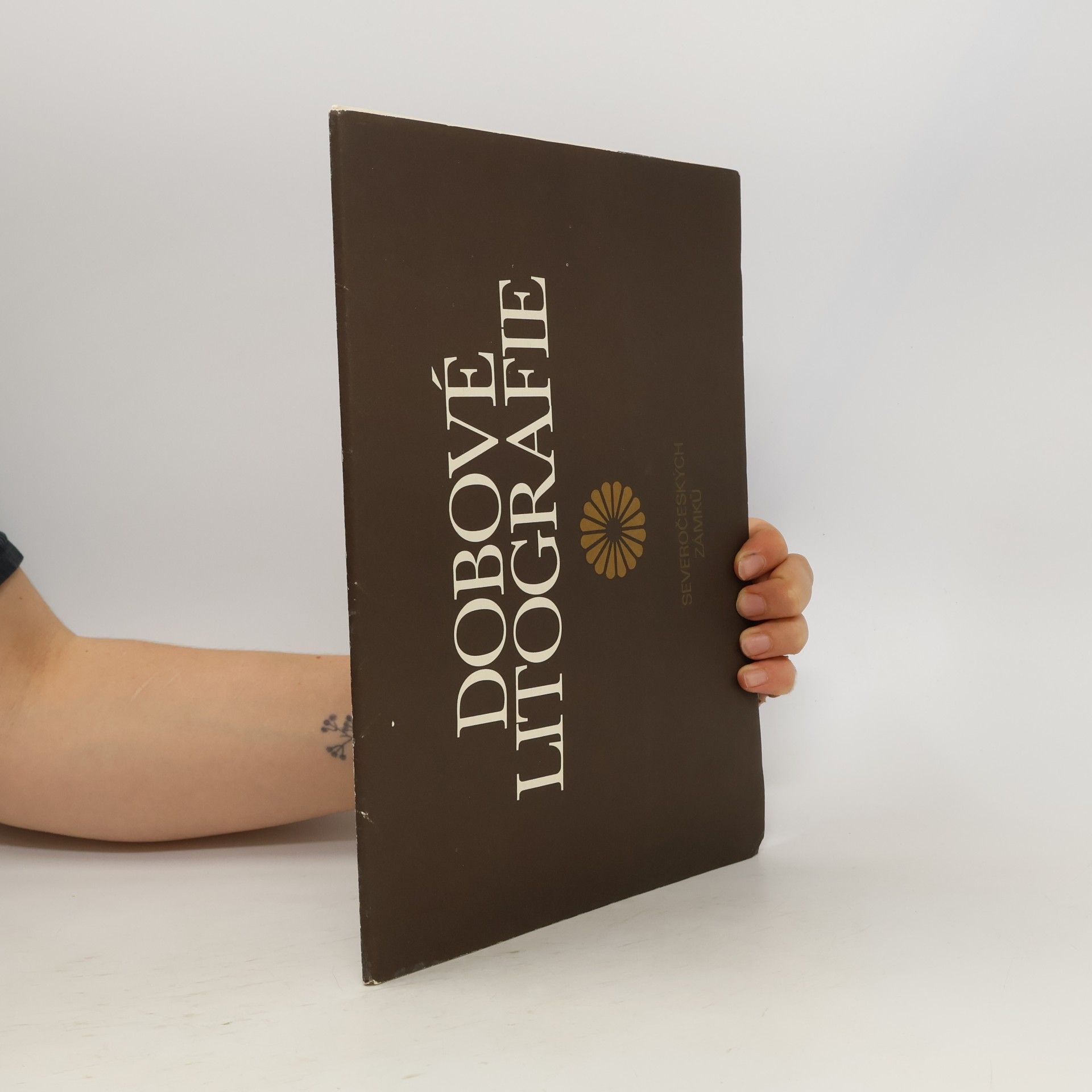 Dobové litografie severočeských zámků