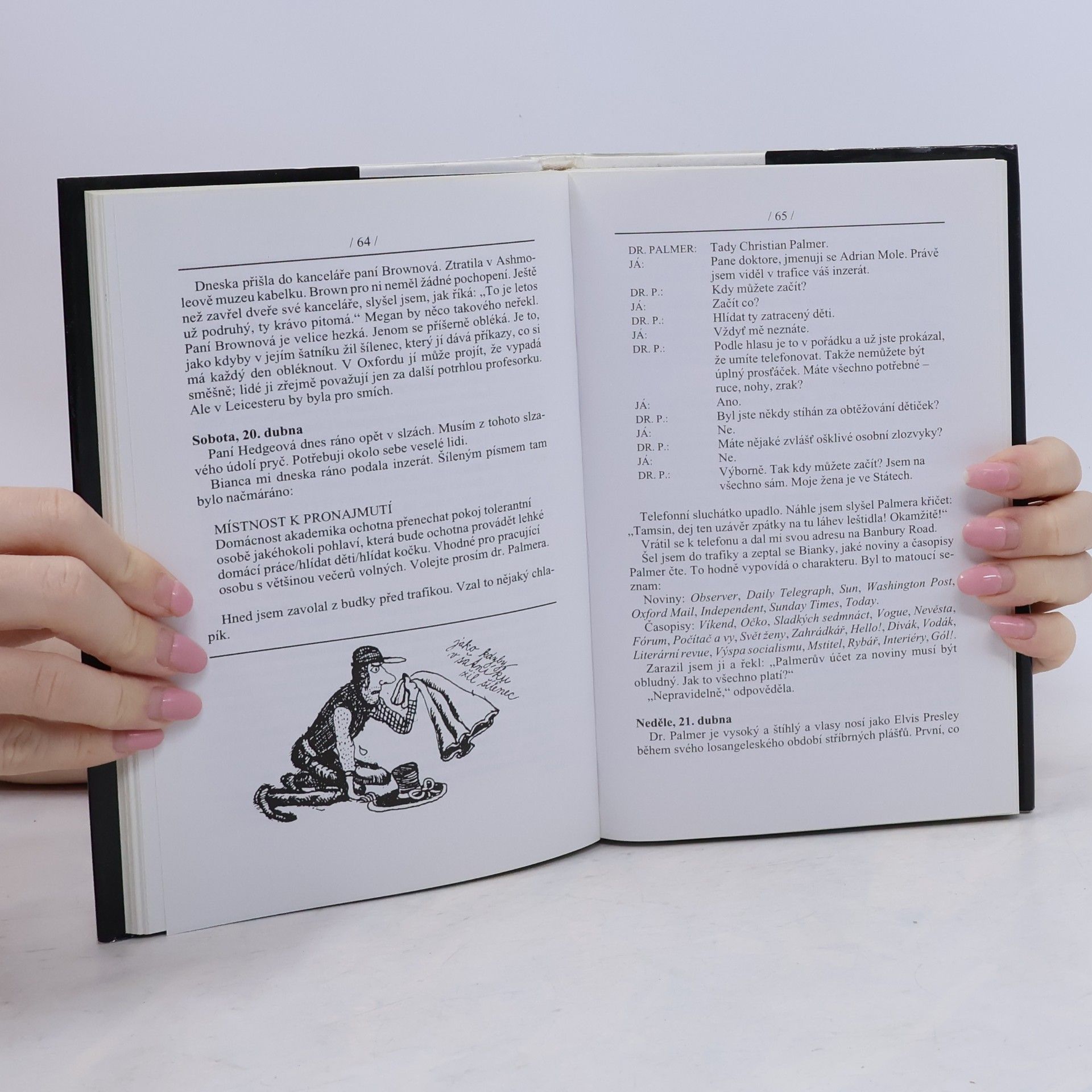Sue Townsend Adrian Mole. Léta v divočině