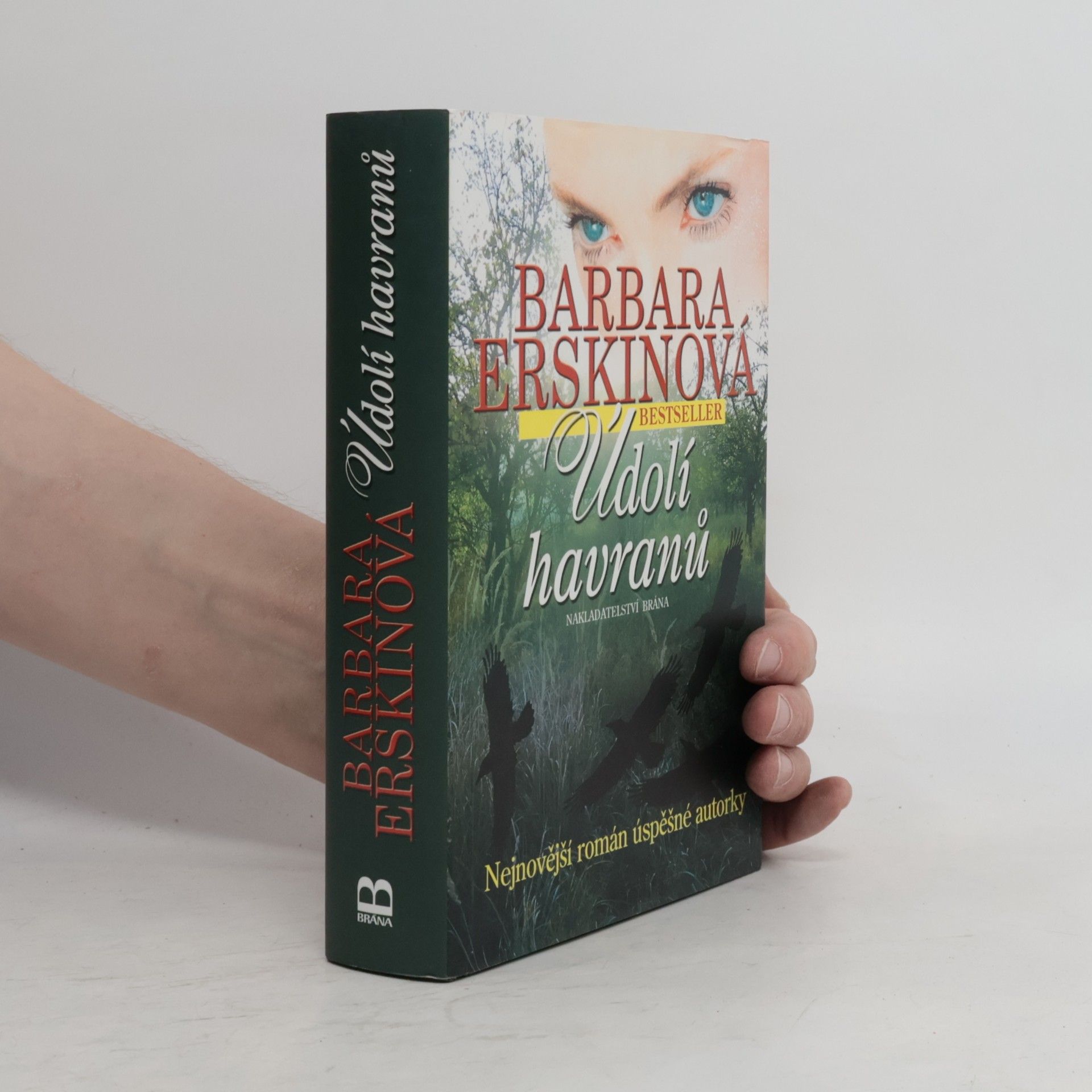 Barbara Erskinová Údolí havranů