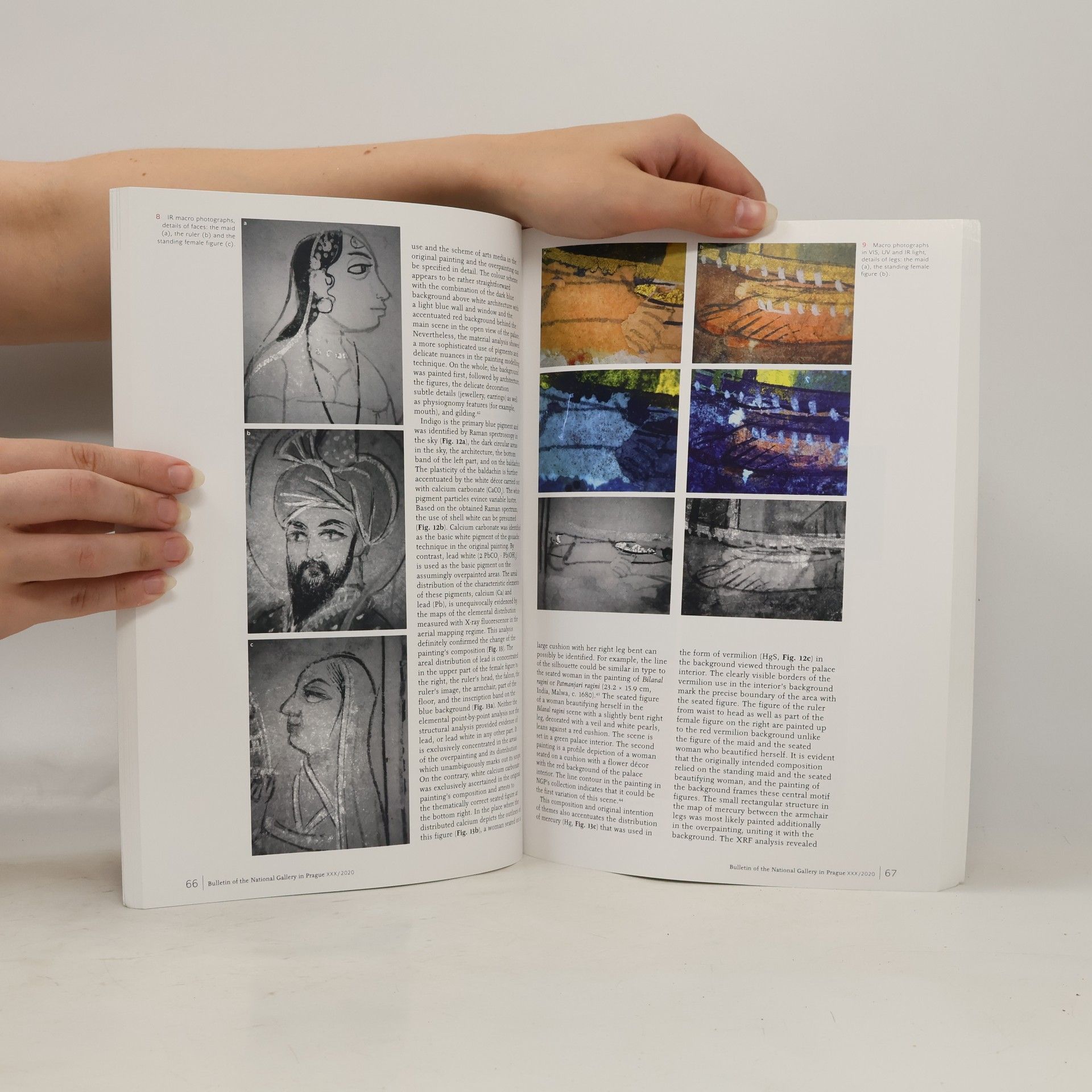 Kolektiv autorů Bulletin of the National Gallery Prague XXX