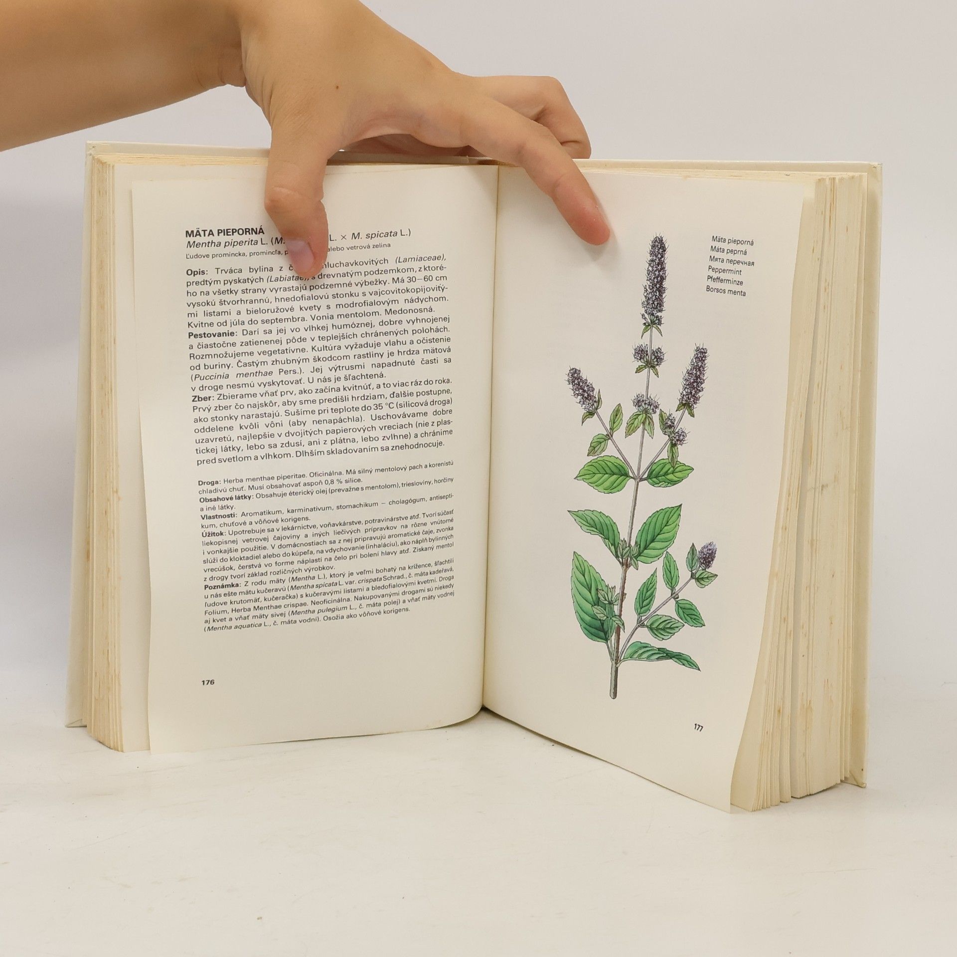 Ludmila Thurzová Malý atlas liečivých rastlín