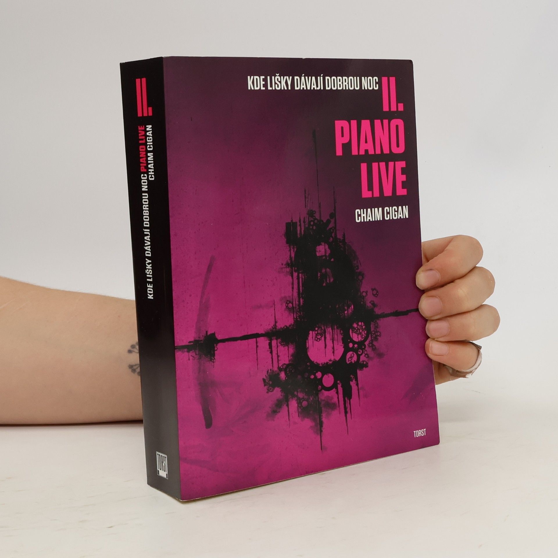 Kde lišky dávají dobrou noc II. Piano live