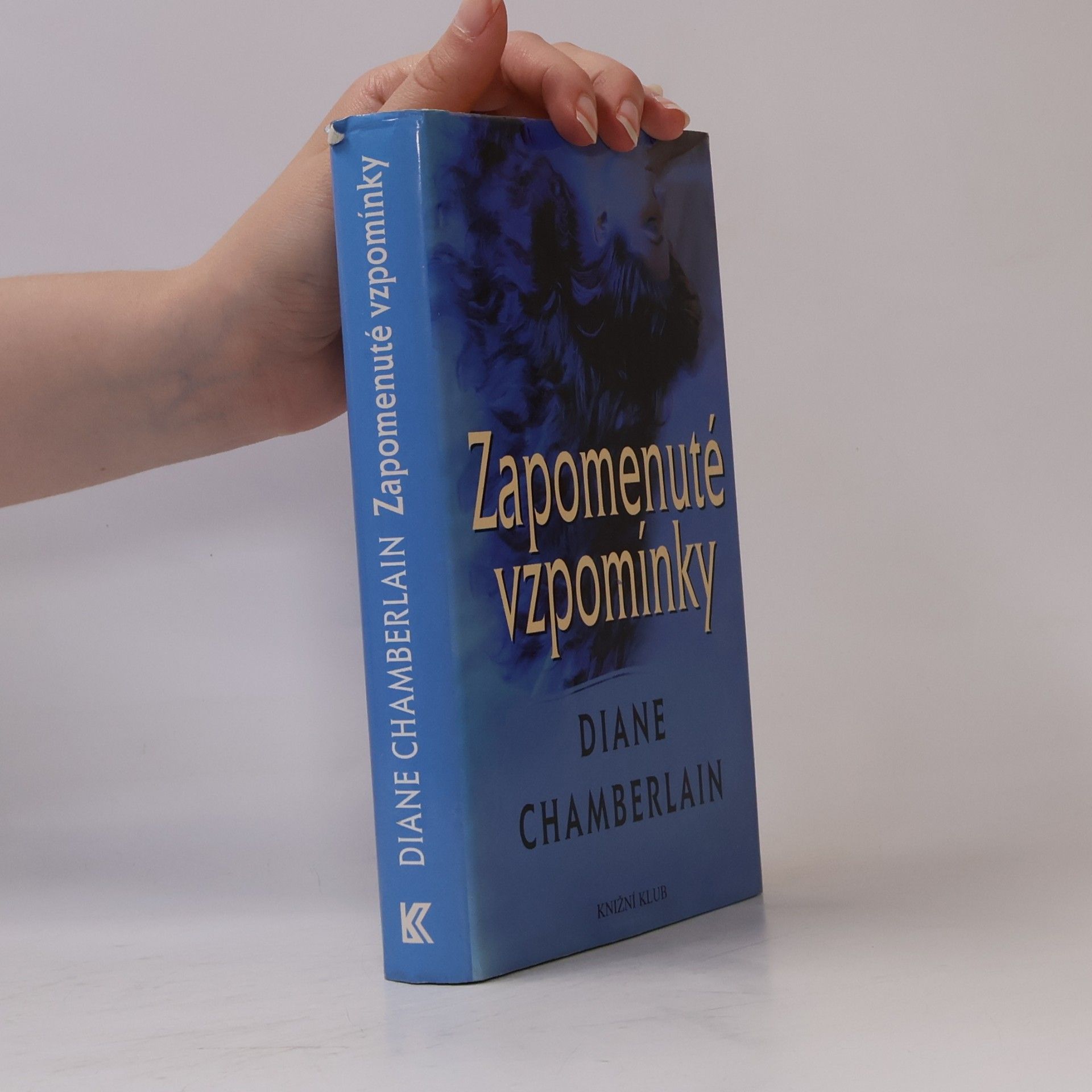 Diane Chamberlain Zapomenuté vzpomínky