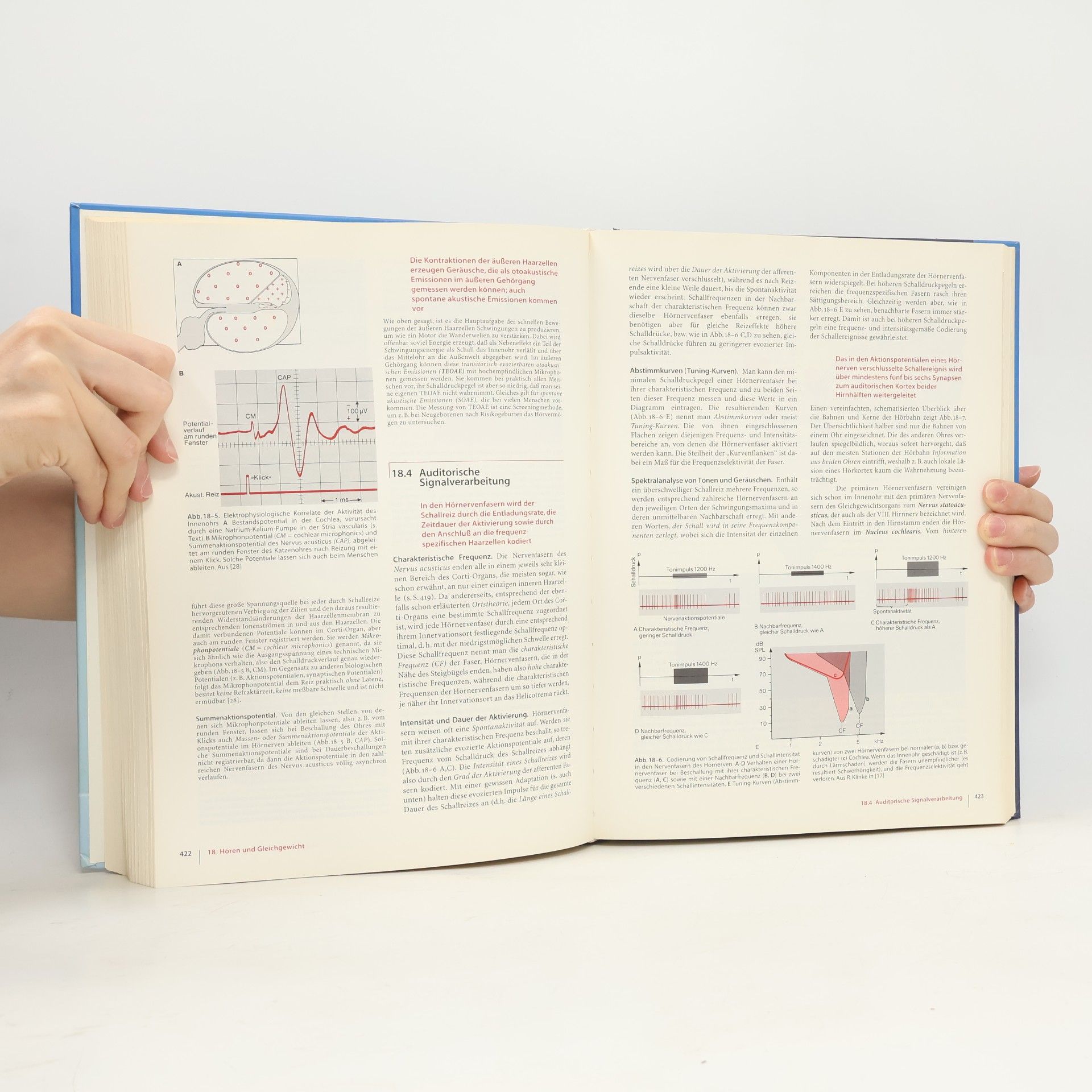 Niels Birbaumer Biologische Psychologie