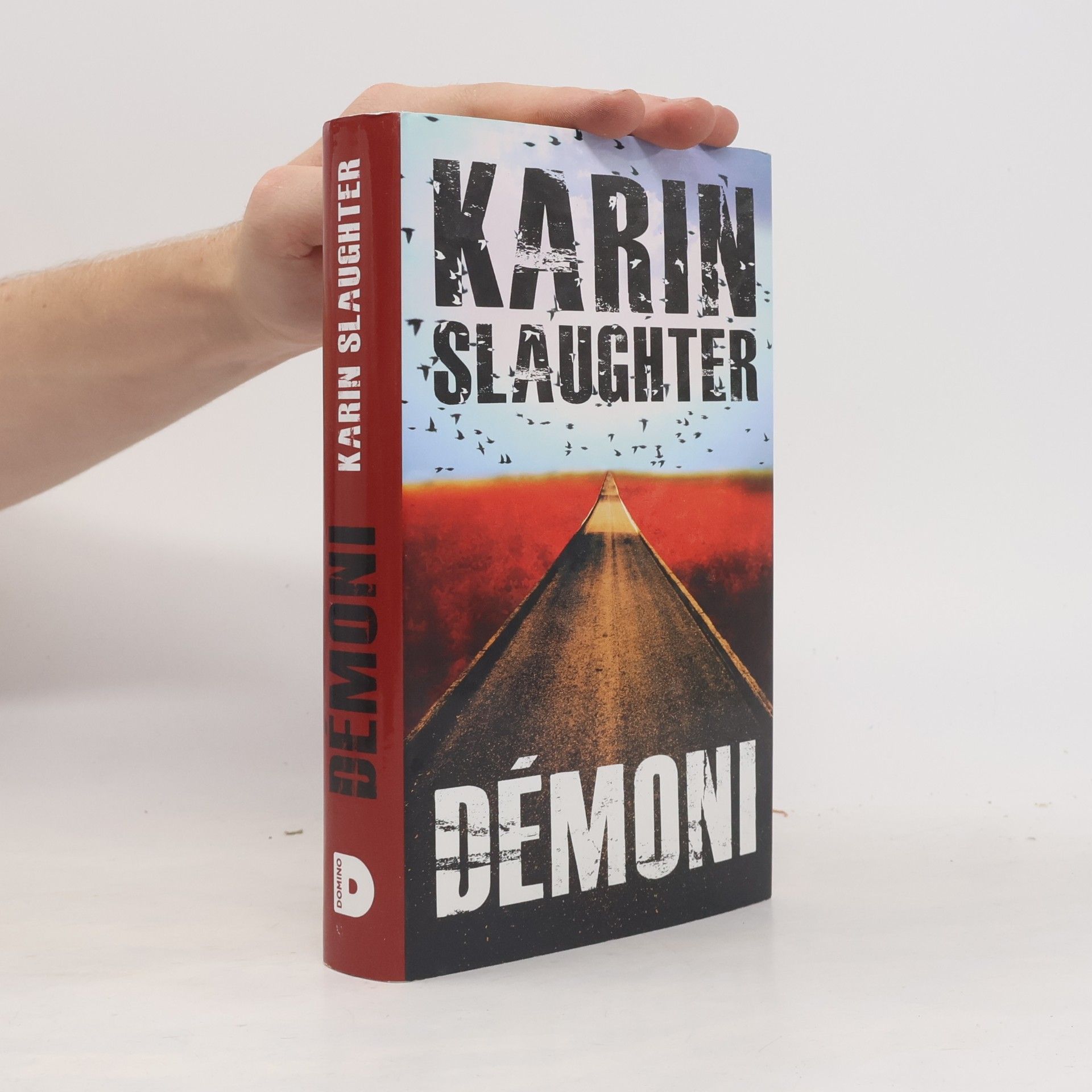 Karin Slaughter Démoni