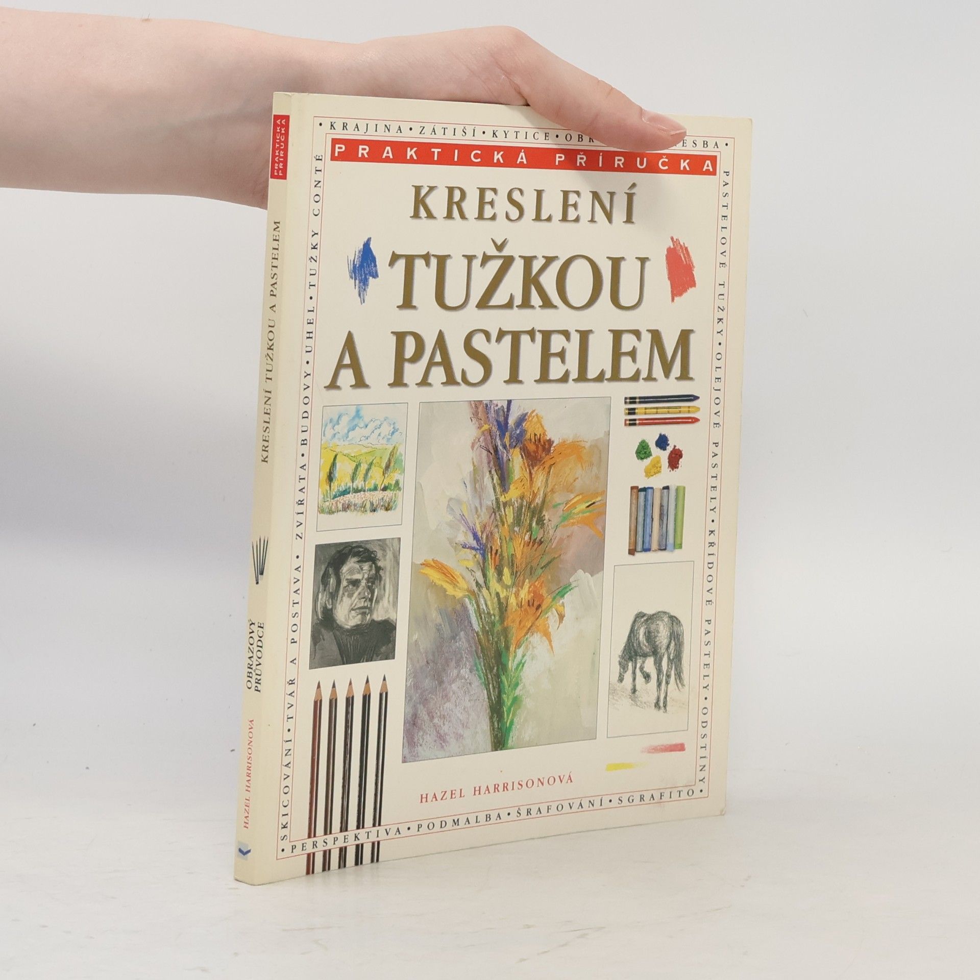 Hazel Harrison Kreslení tužkou a pastelem