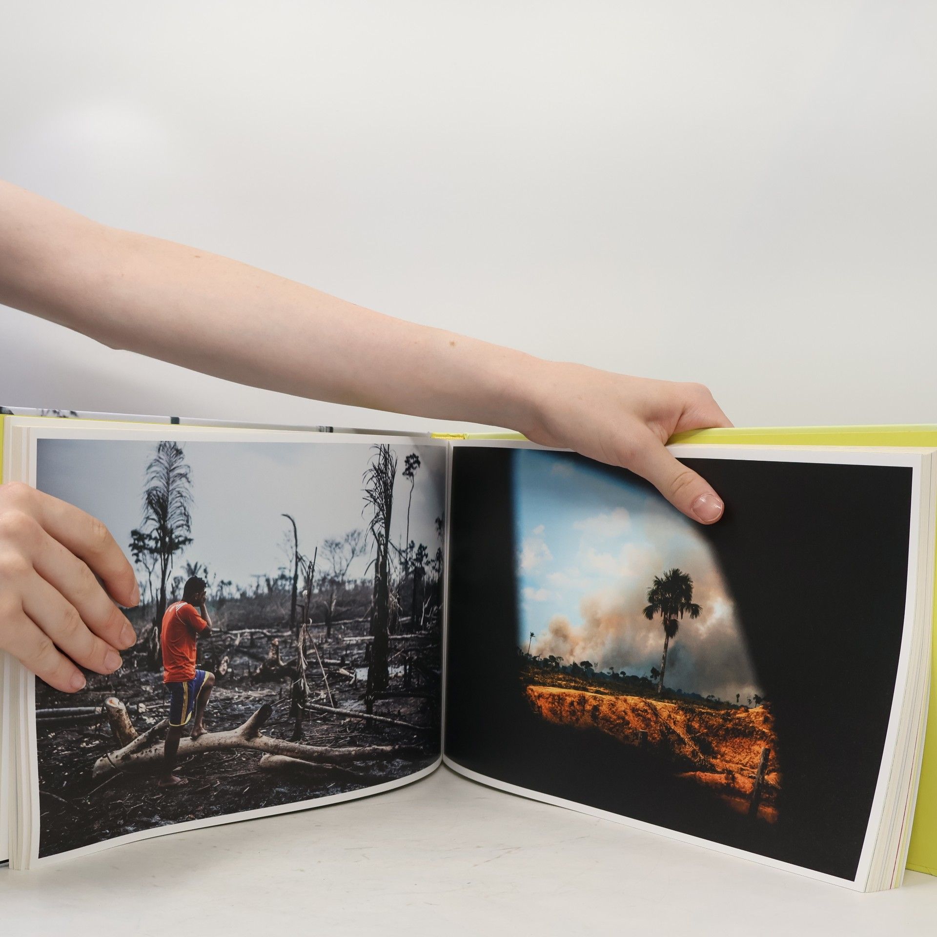 David Těšínský Jiná krása : nejen kontroverzní fotografie a příběhy