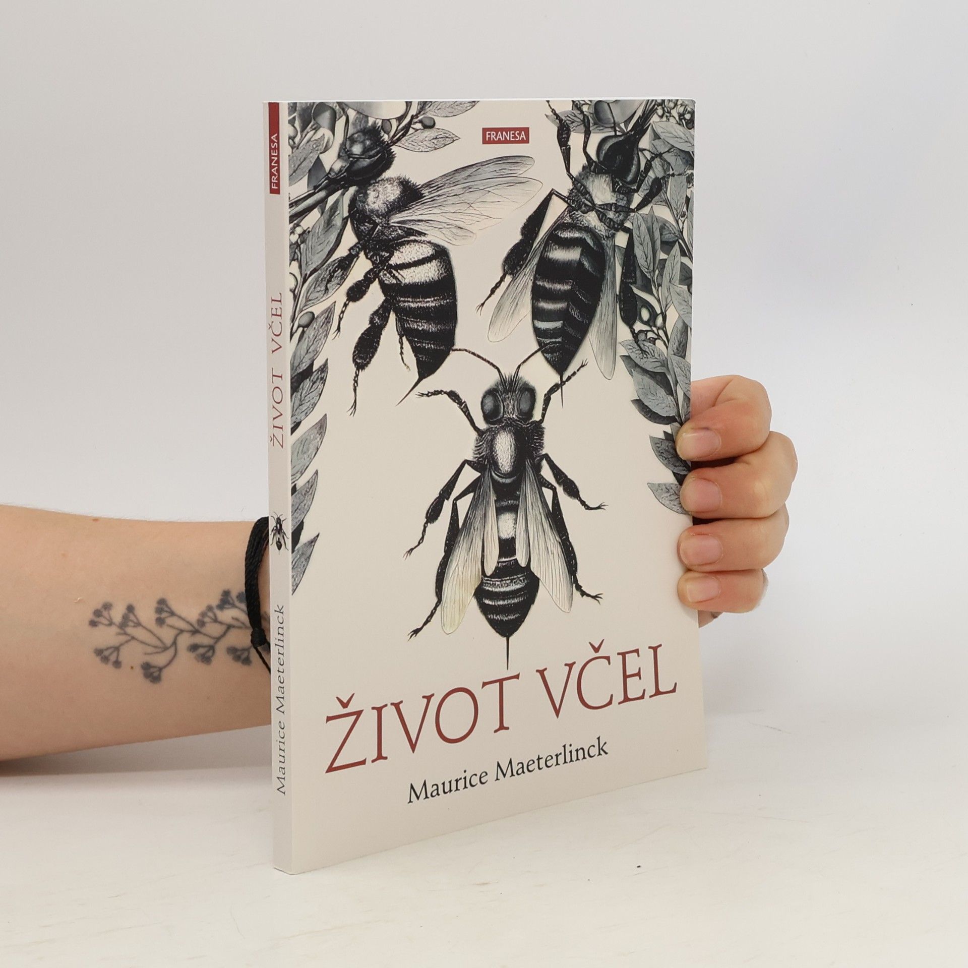Život včel