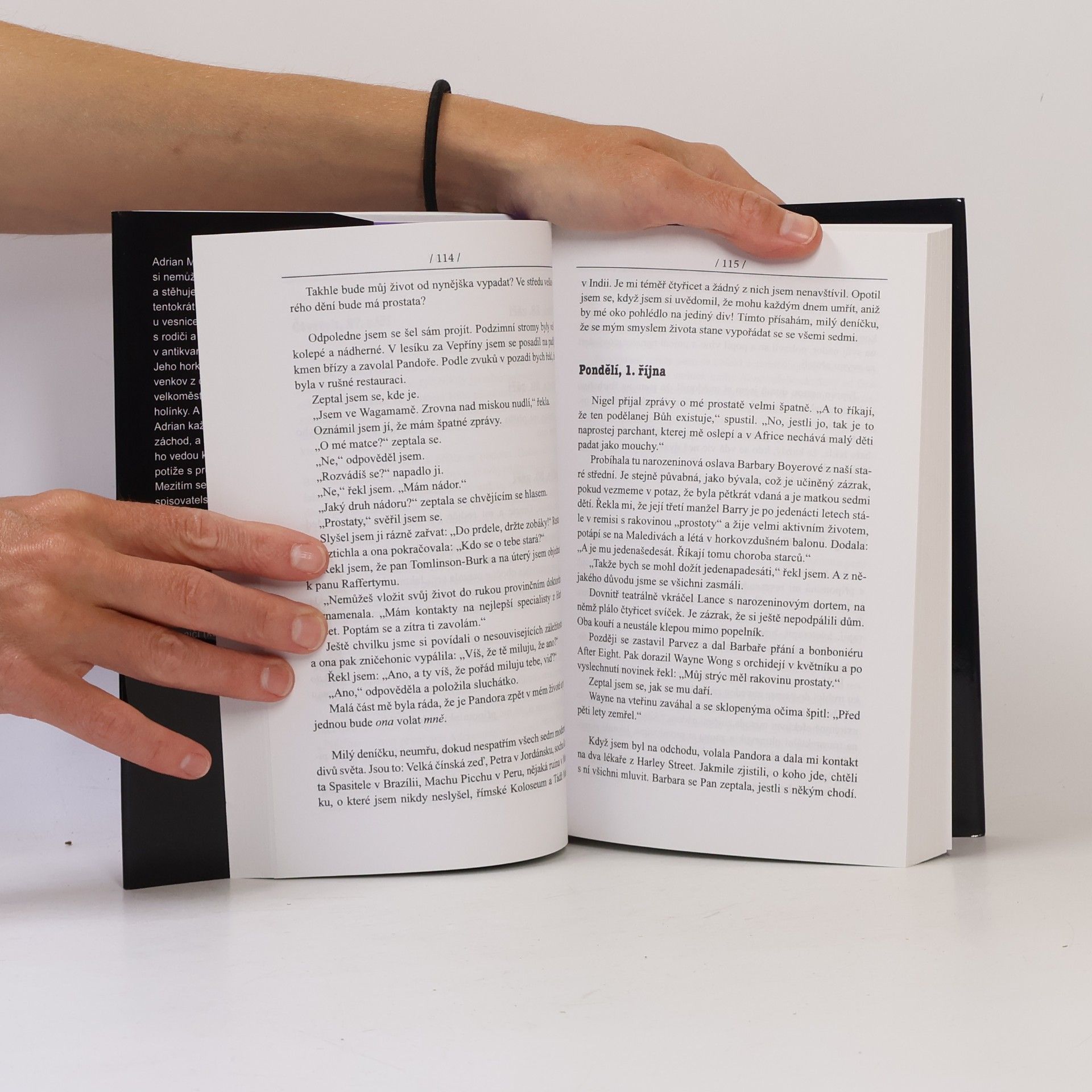 Sue Townsend Adrian Mole – Léta prostoty