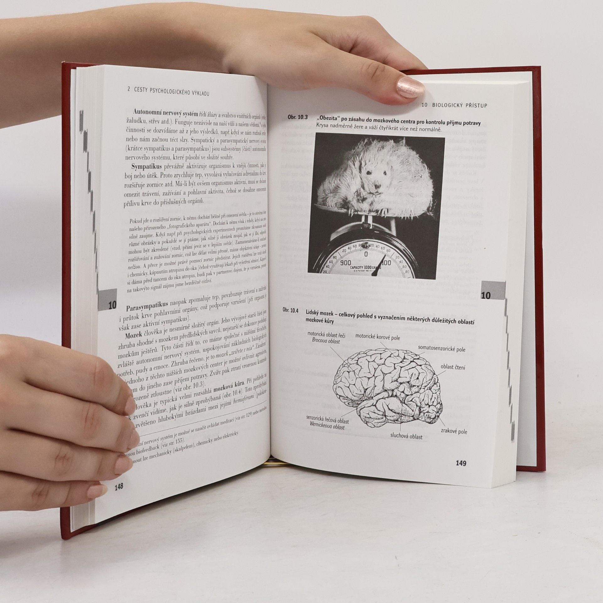 Pavel Říčan Psychologie: Příručka pro studenty