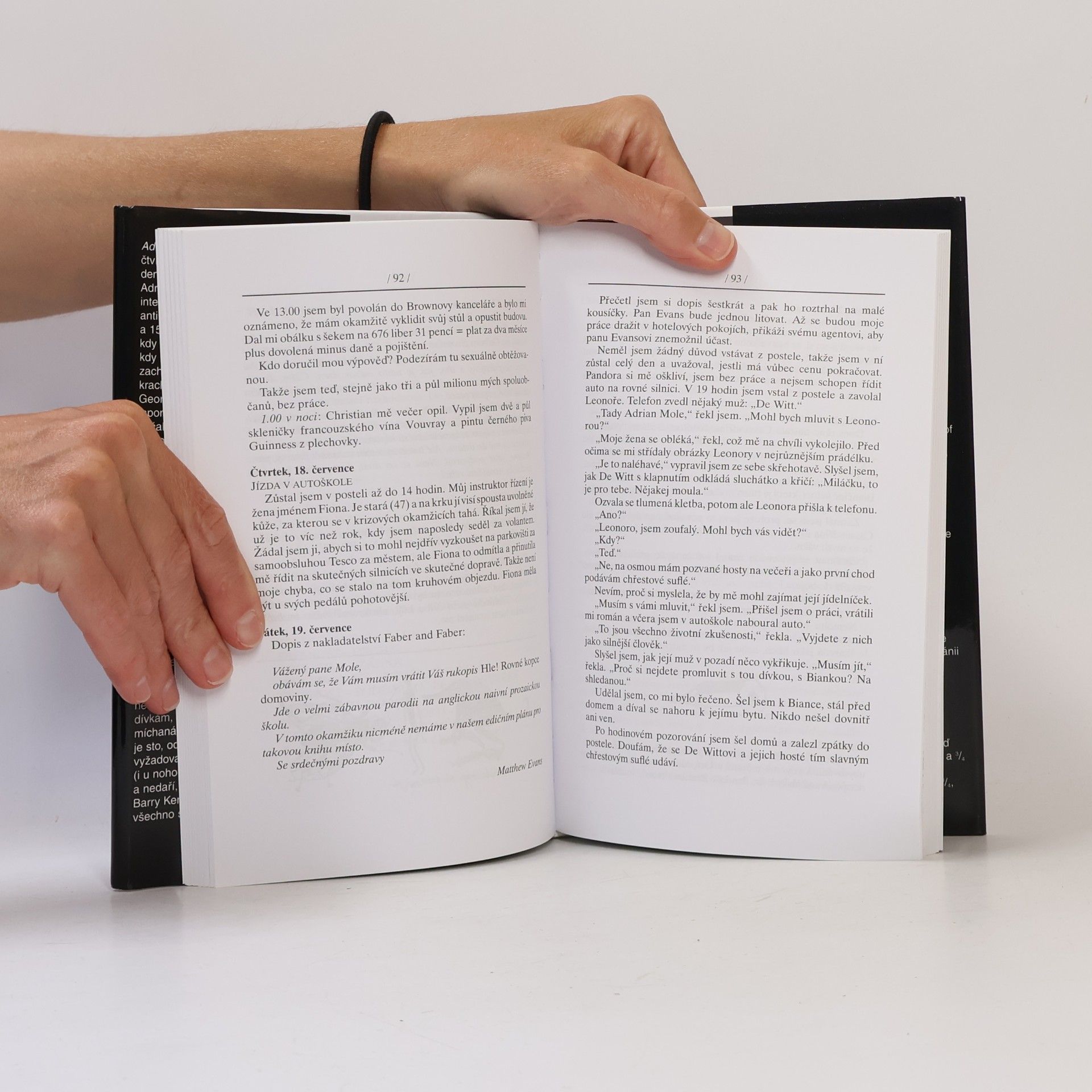 Sue Townsend Adrian Mole - léta v divočině