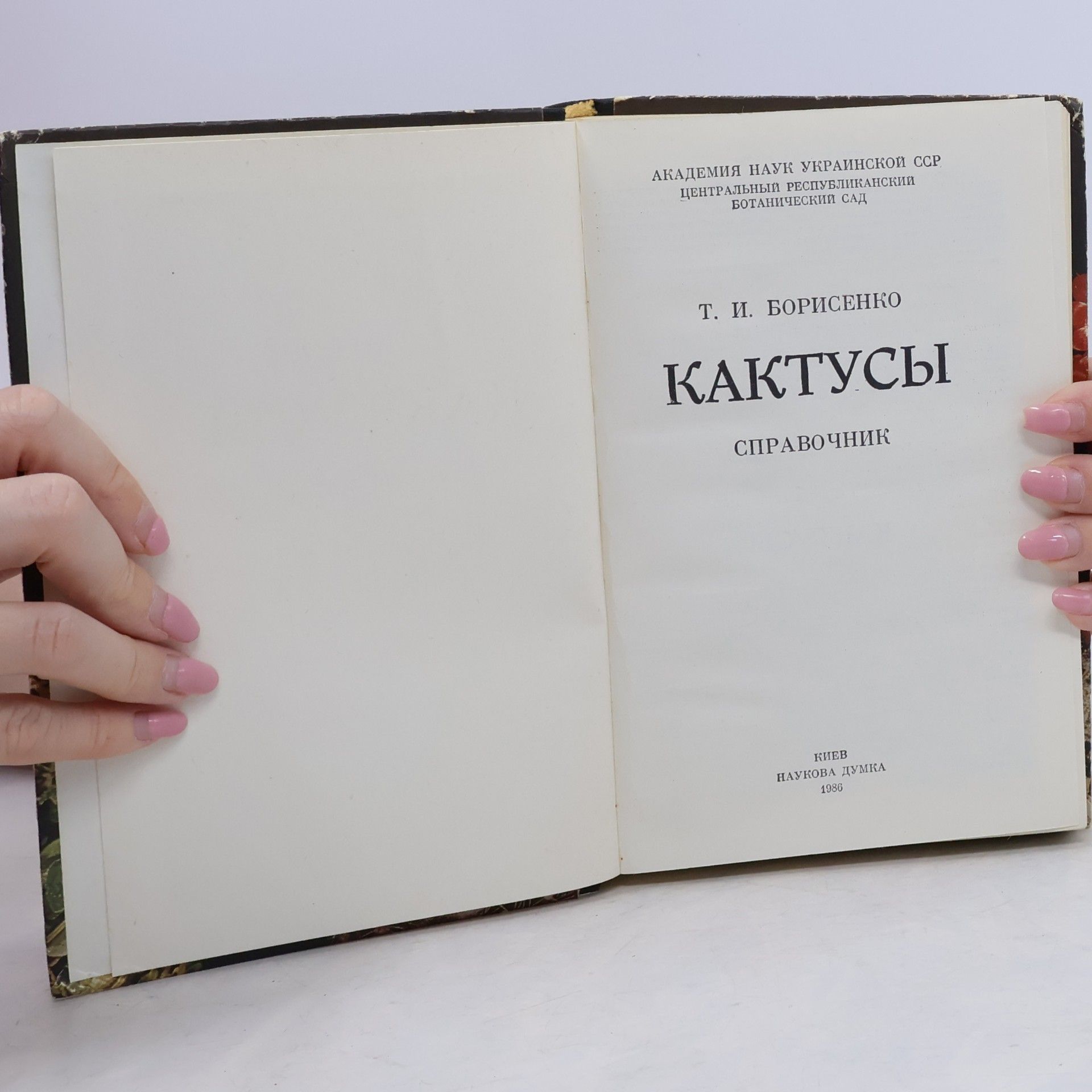Тамара Ивановна Борисенко Кактусы. Kaktusy