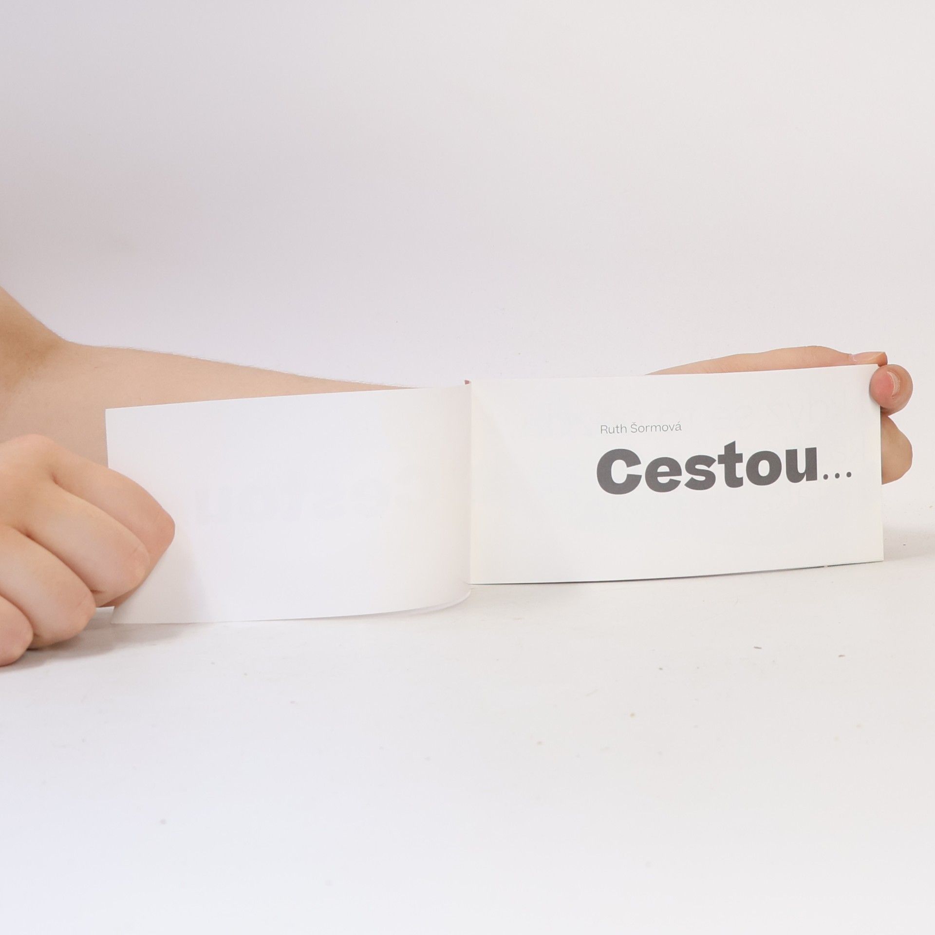 Ruth Šormová Cestou...