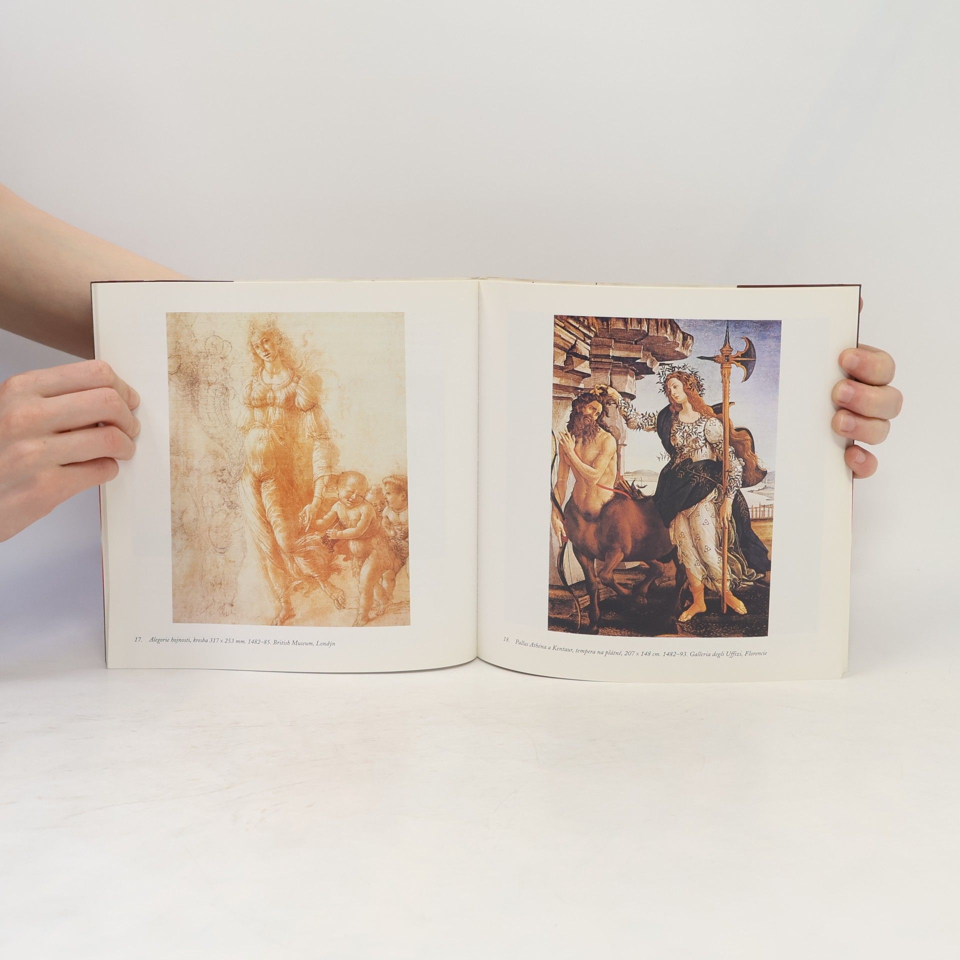 Milan Togner Sandro Botticelli