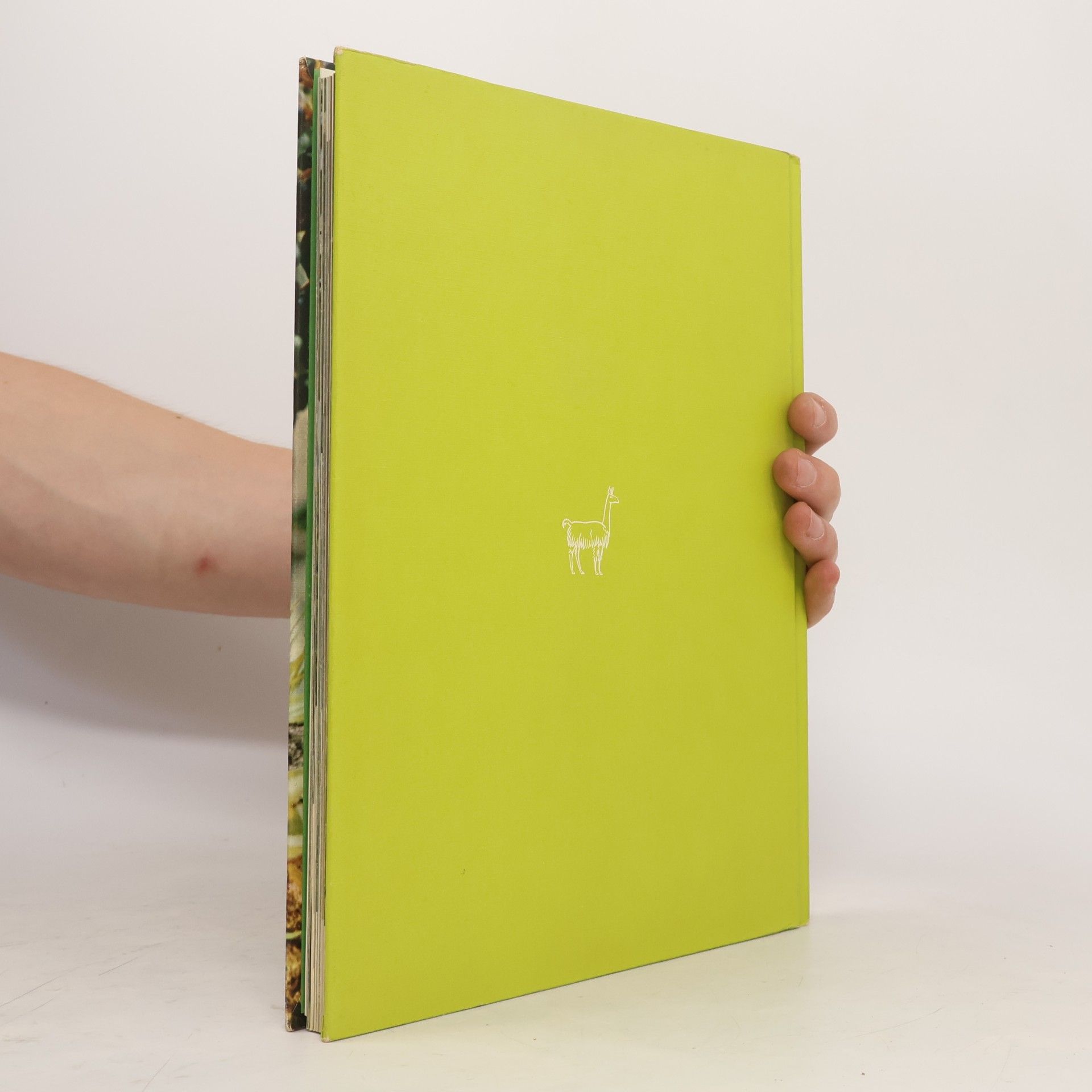 Autorenkollektiv Südamerika. Flora und Fauna