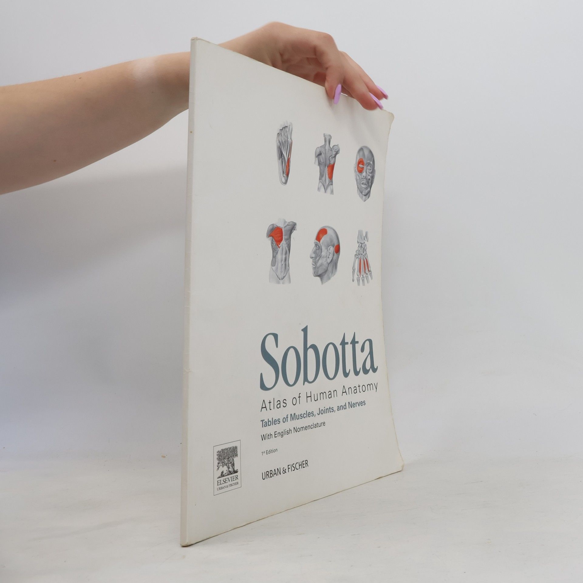 Sobotta. Atlas of Human Anatomy. Tables of Muscles, Joints and Nerves