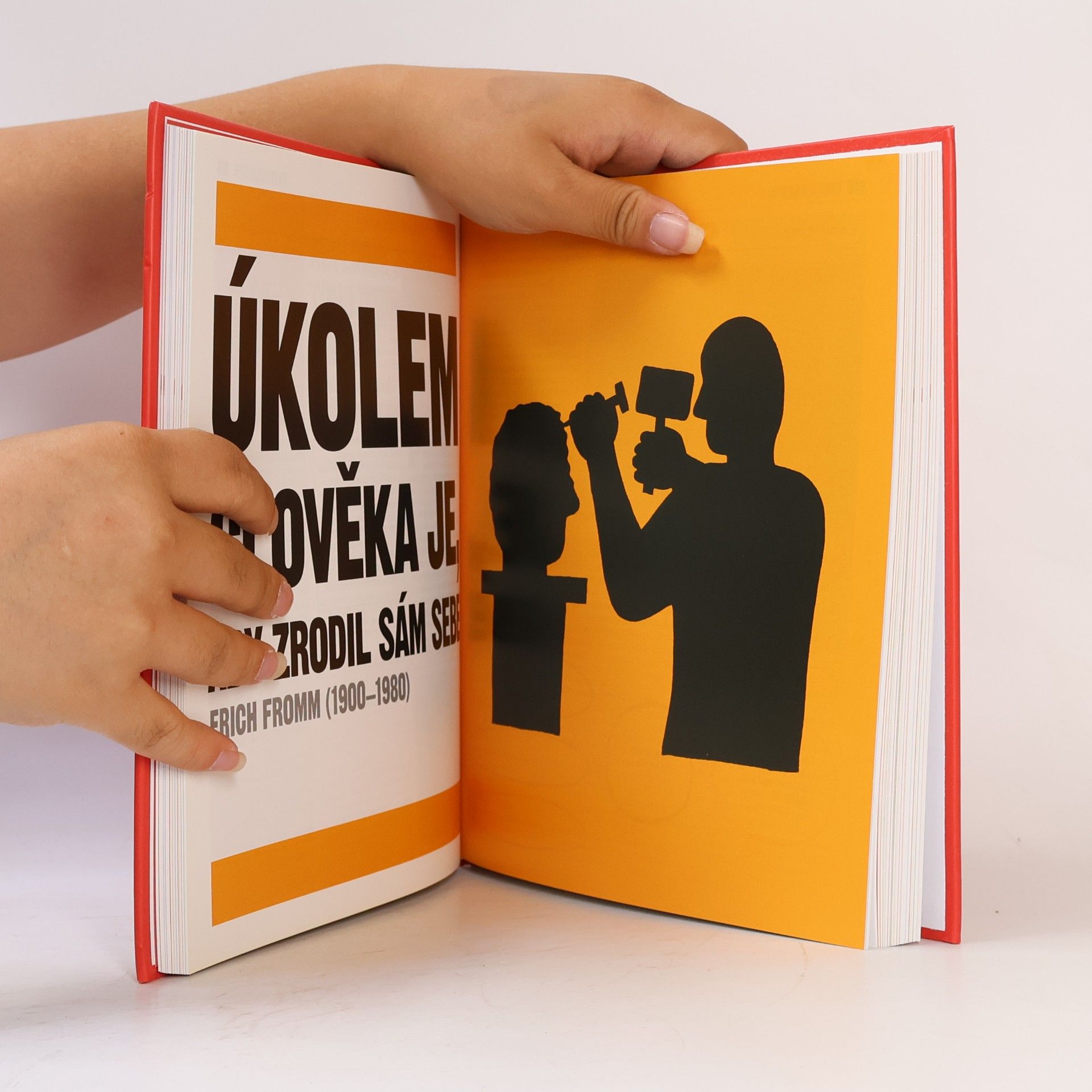 Kolektív autorov Kniha psychologie