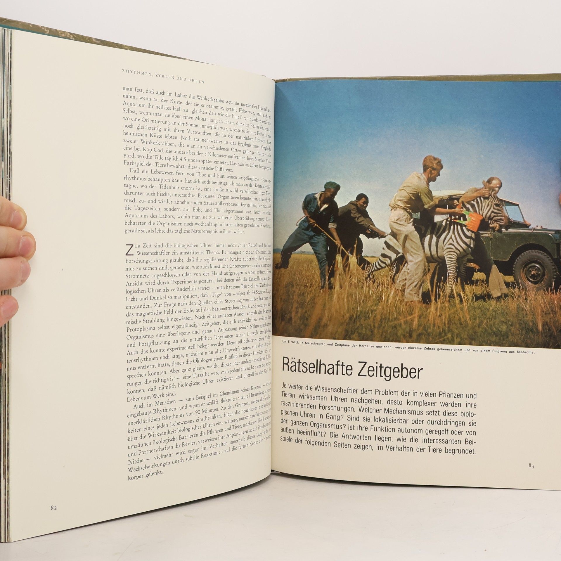 Autorenkollektiv Die Ökologie