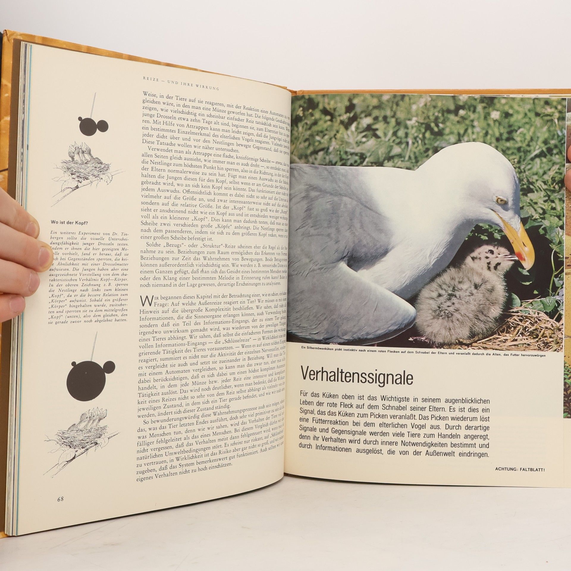 Autorenkollektiv Life Wunder der Natur. Tiere und ihr Verhalten