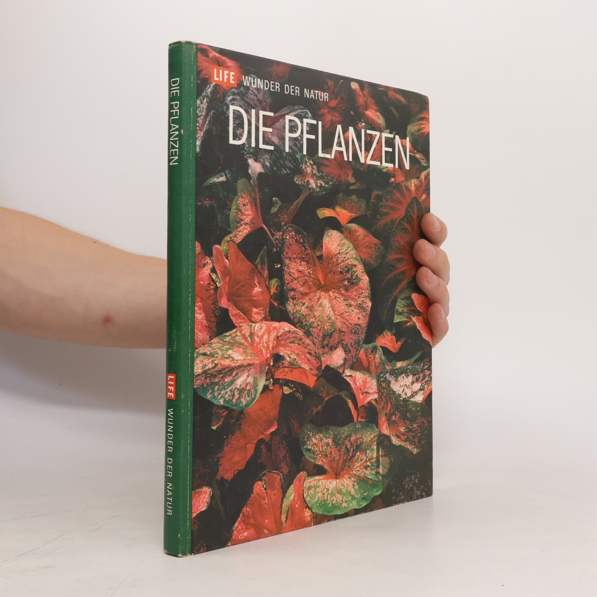 Collectif d'auteurs Die Pflanzen