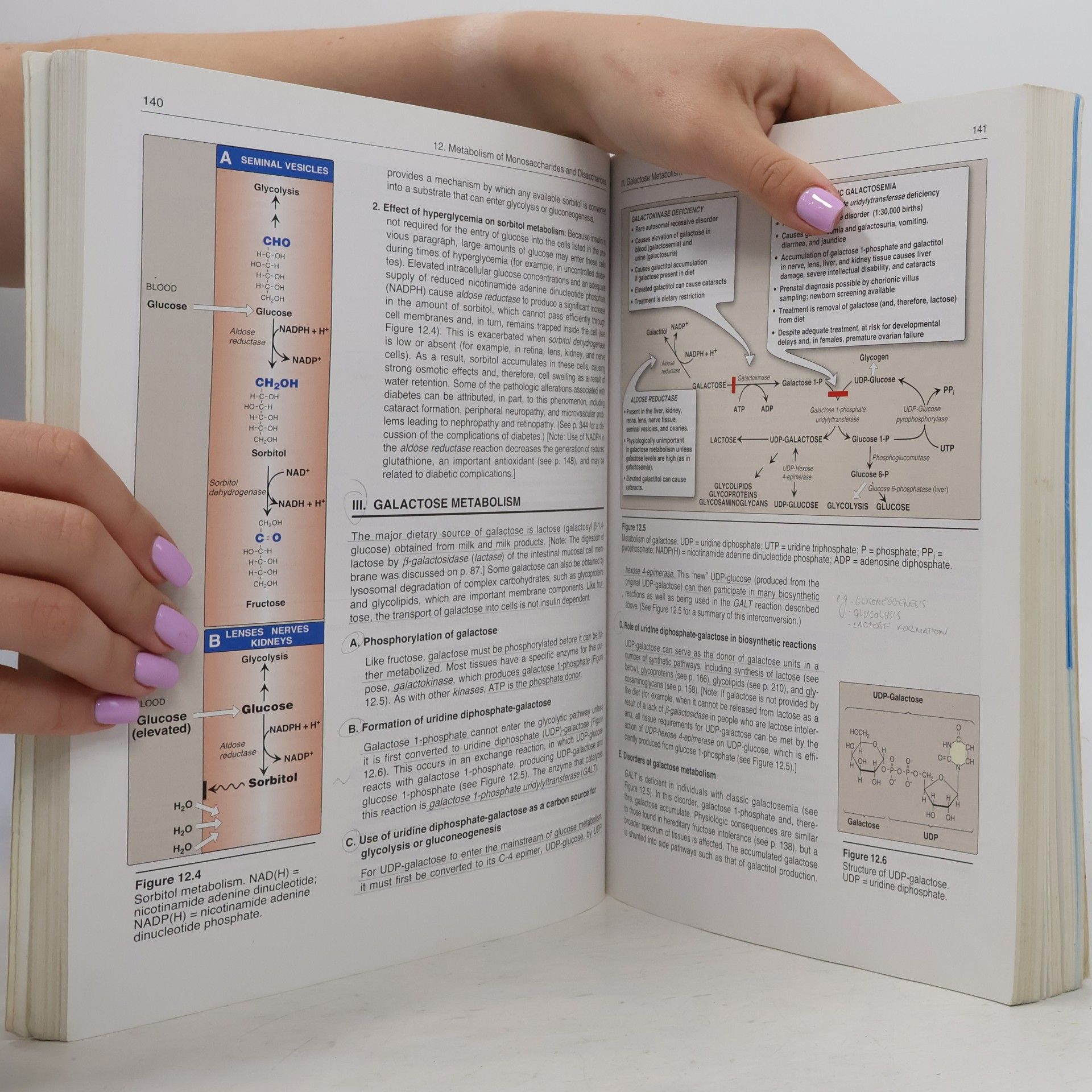Denise R. Ferrier Lippincott's Illustrated Reviews: Biochemistry