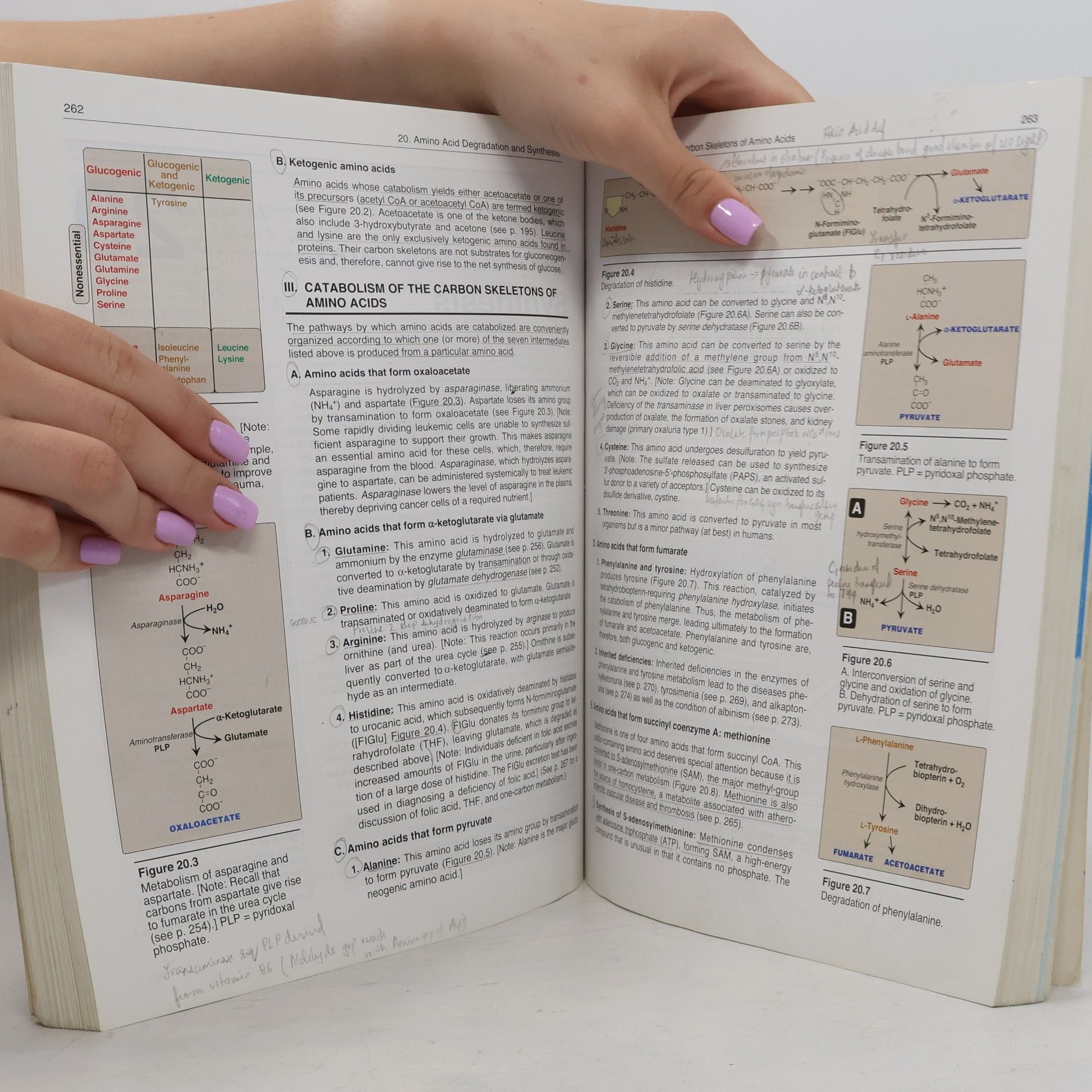 Denise R. Ferrier Lippincott's Illustrated Reviews: Biochemistry