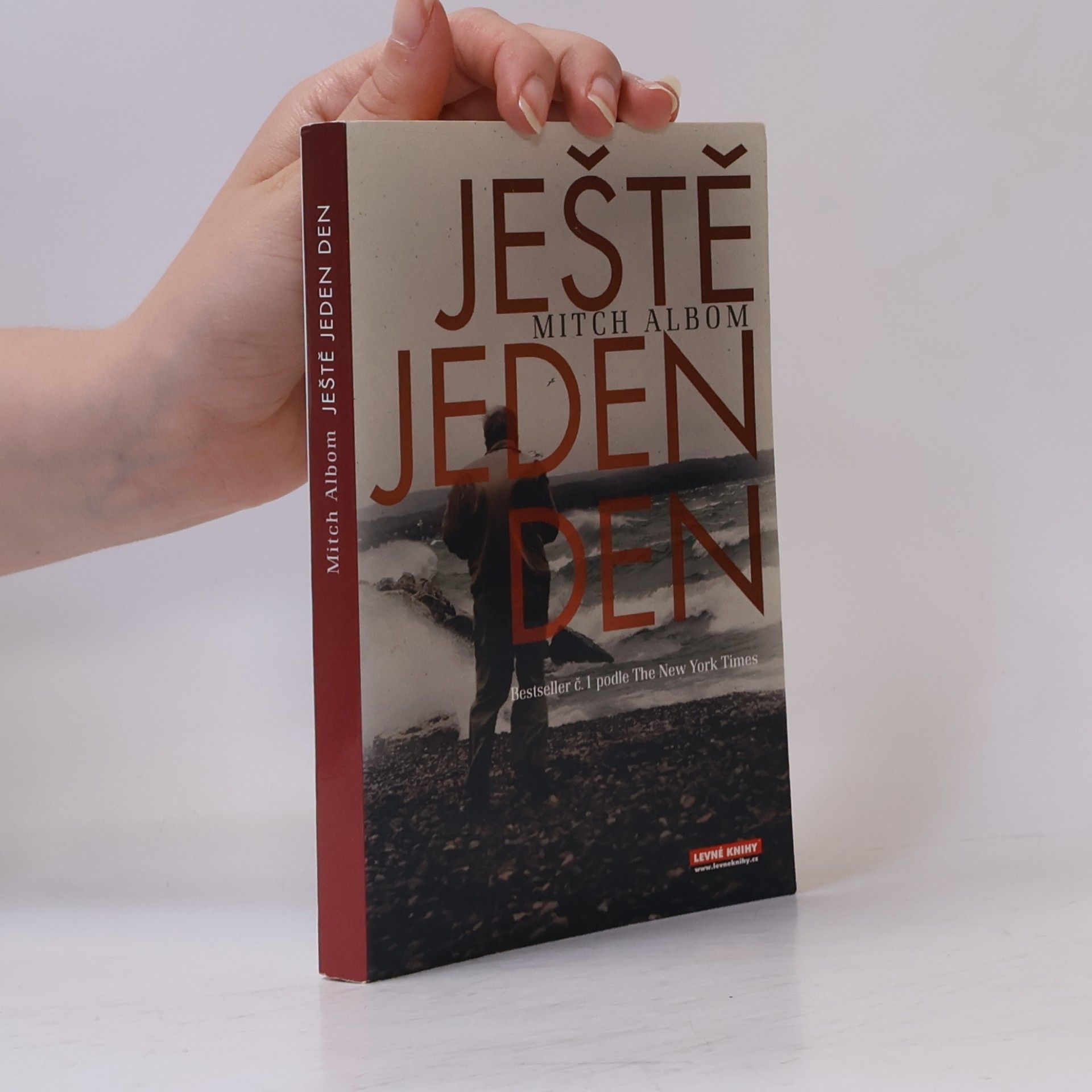 Mitch Albom Ještě jeden den