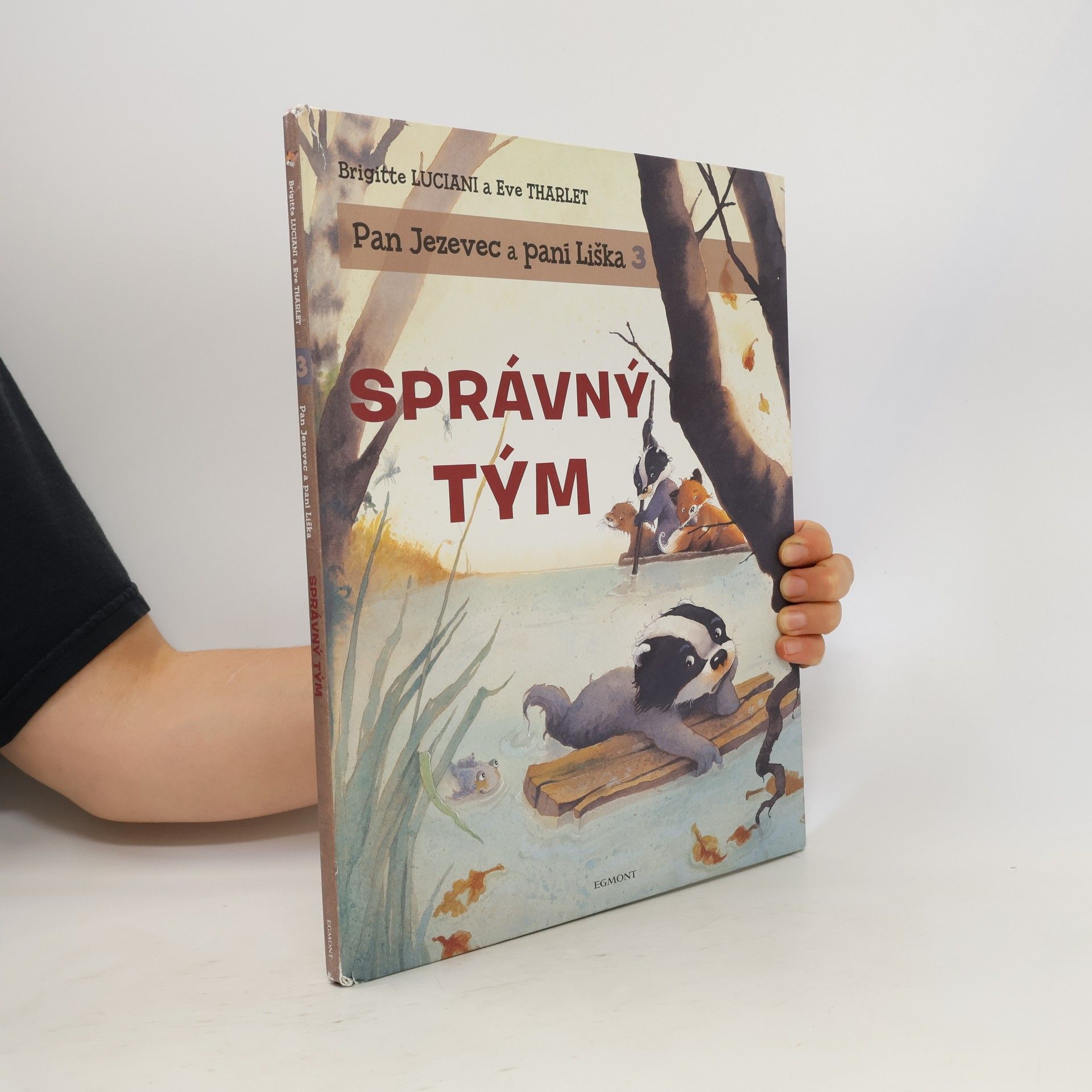 Brigitte Luciani Správný tým