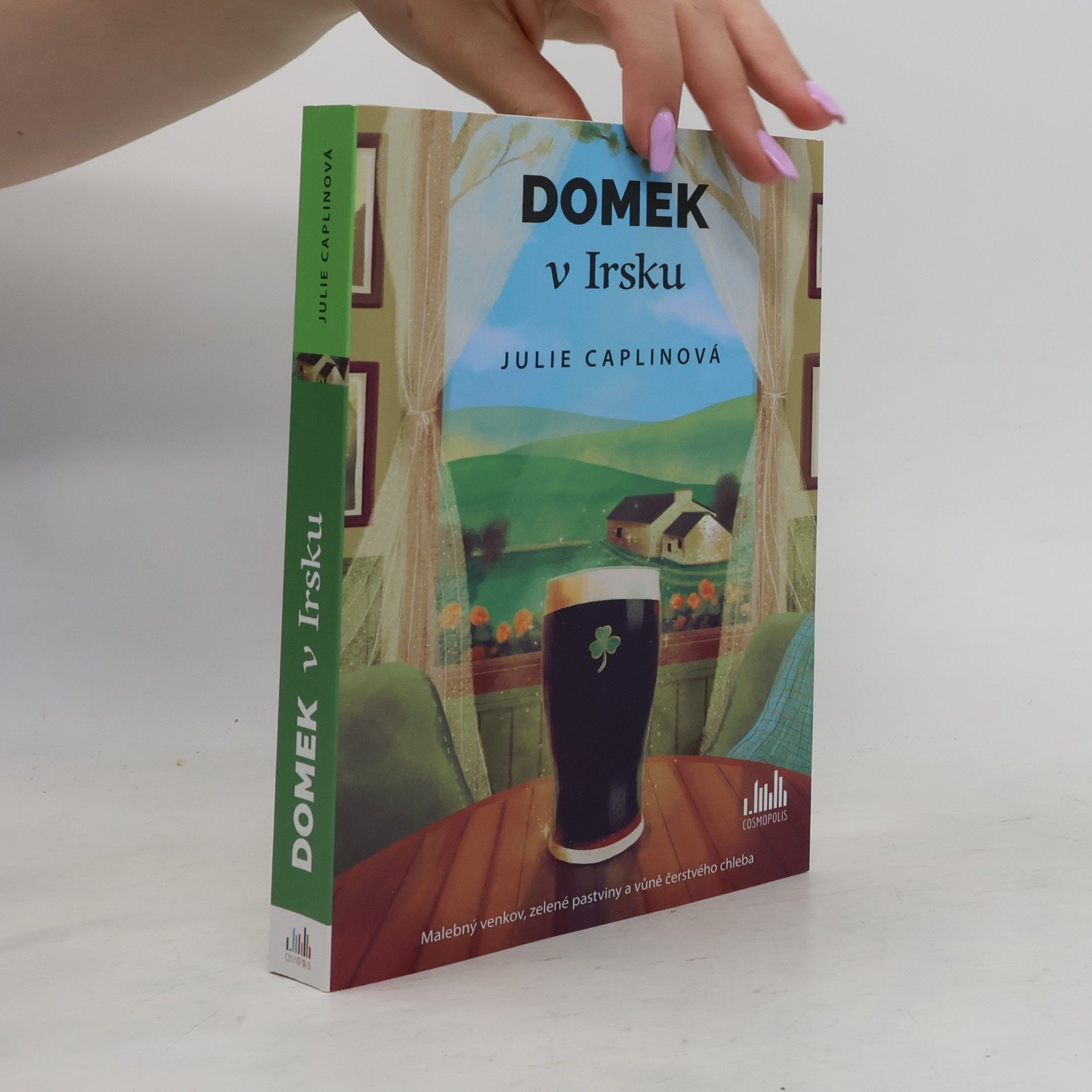 Julie Caplin Domek v Irsku