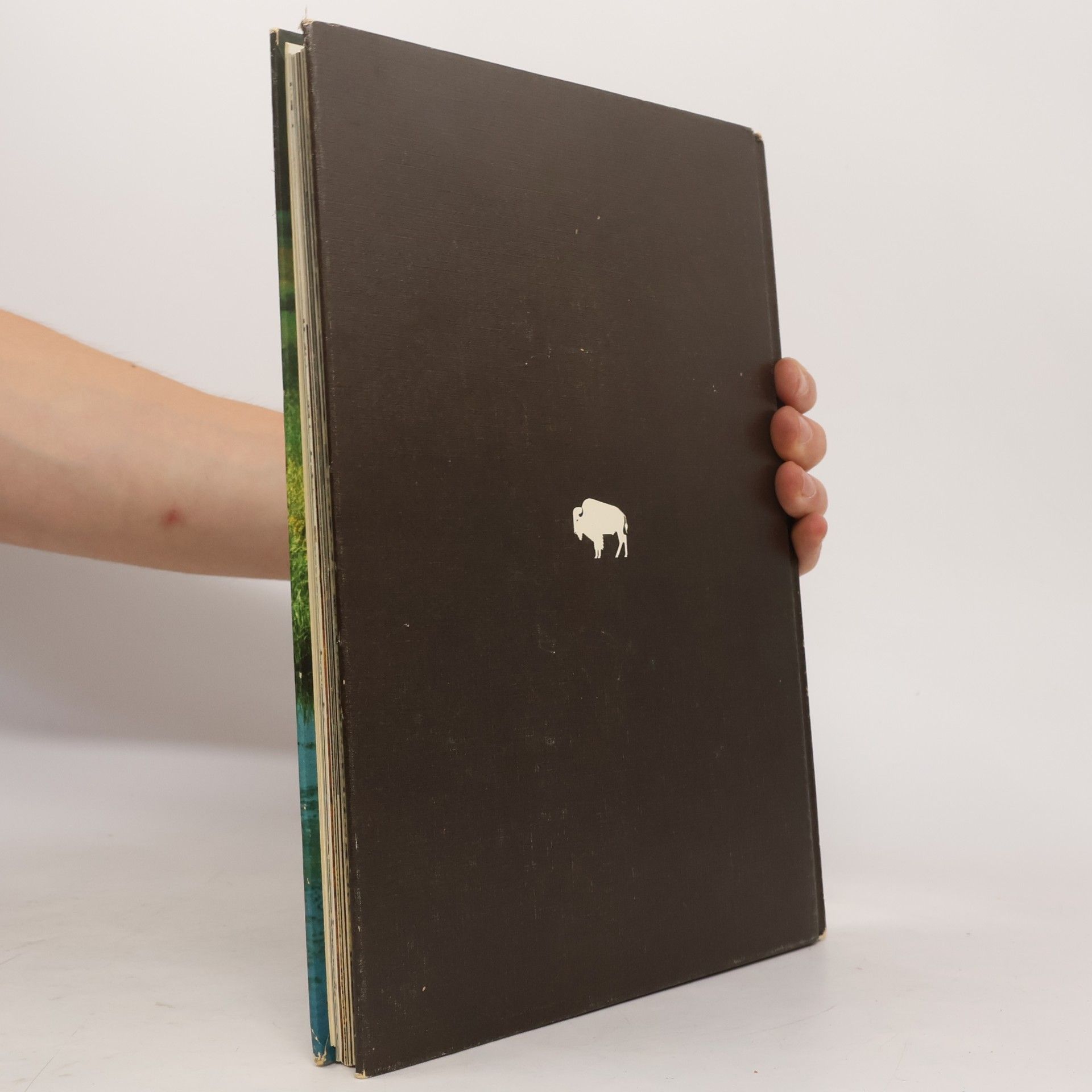 Kenntnisse Peter Farbs Nordamerika. Flora und Fauna