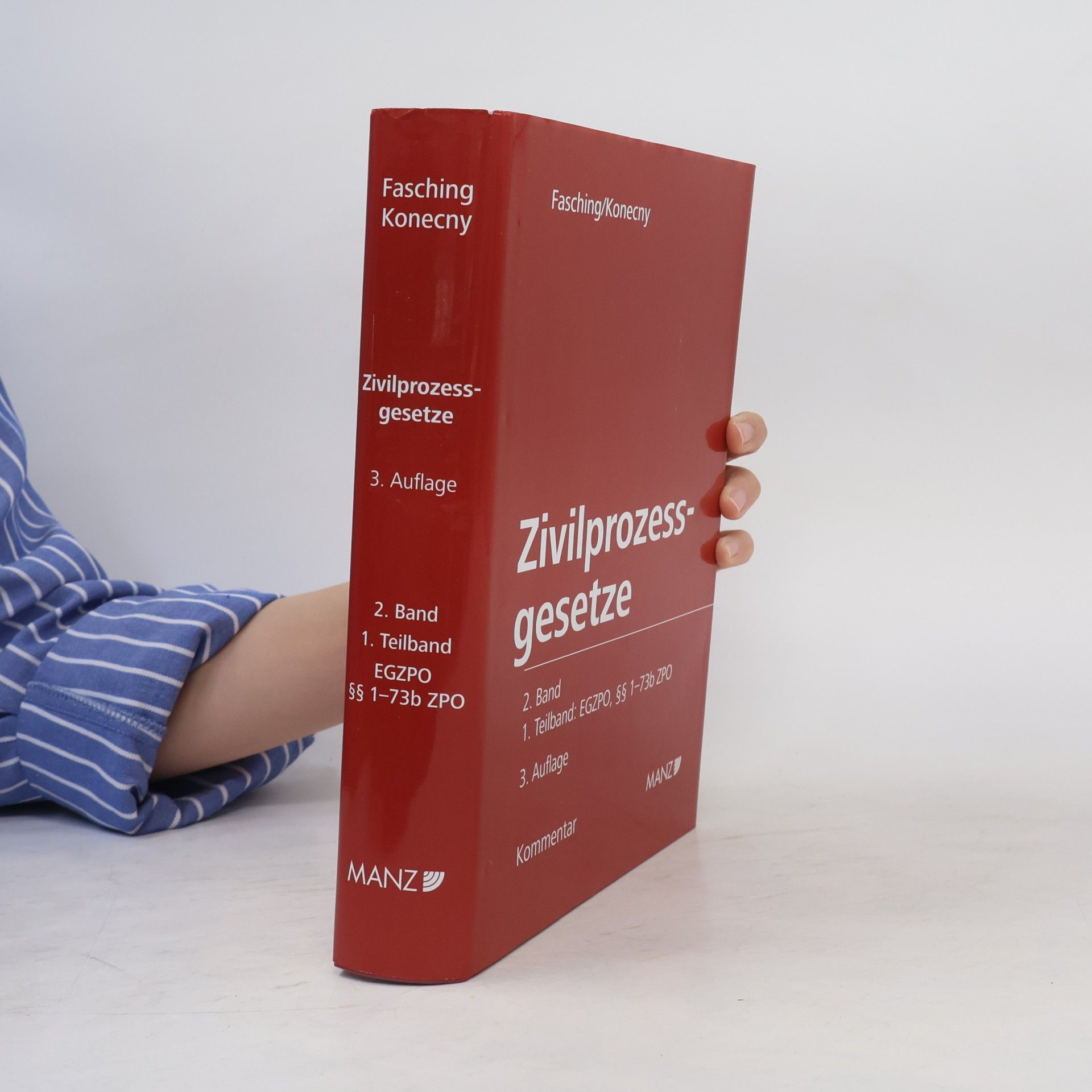 Kommentar zu den Zivilprozessgesetzen